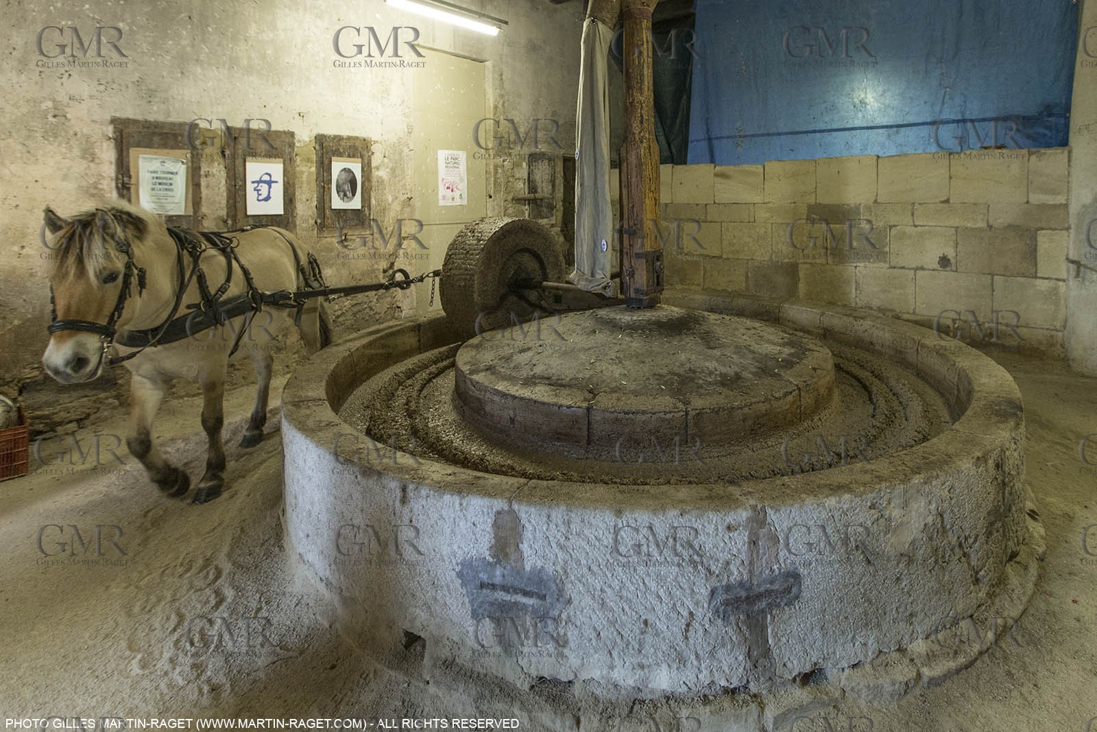 14 11 2015, Saint-Etienne du Grès (FRA,13), traditional making of olive oil at La Croix mill