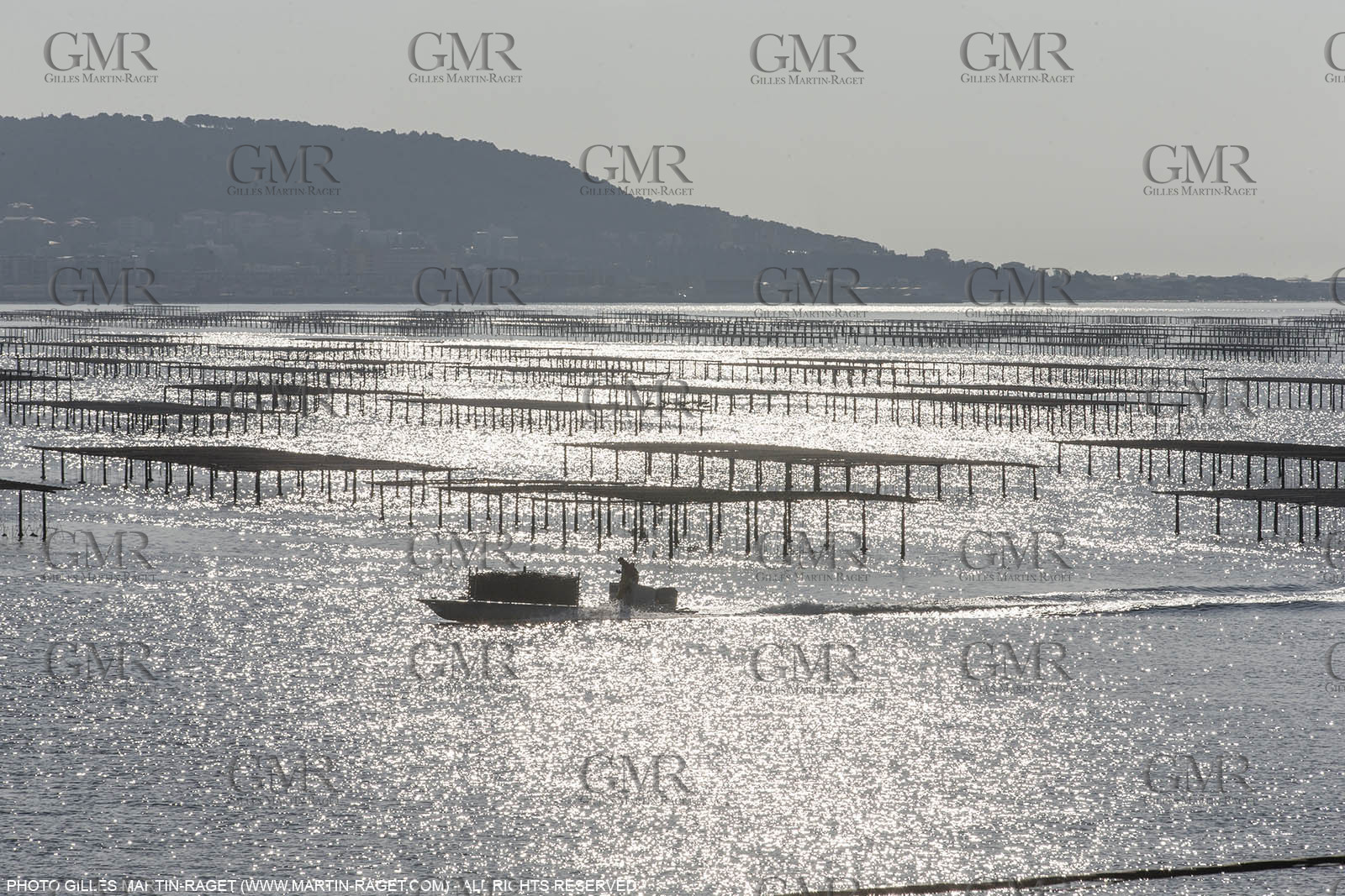28 01 2016, Sète (FRA,34), Cruising on Thau Basin