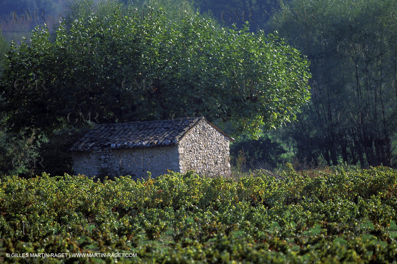 Inland var vineyards