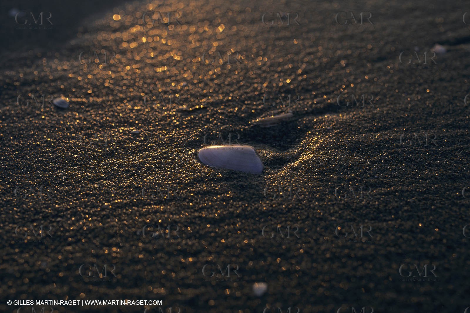 France, Provence, Camargue, Nature, marais, plage, beaches, marshes
