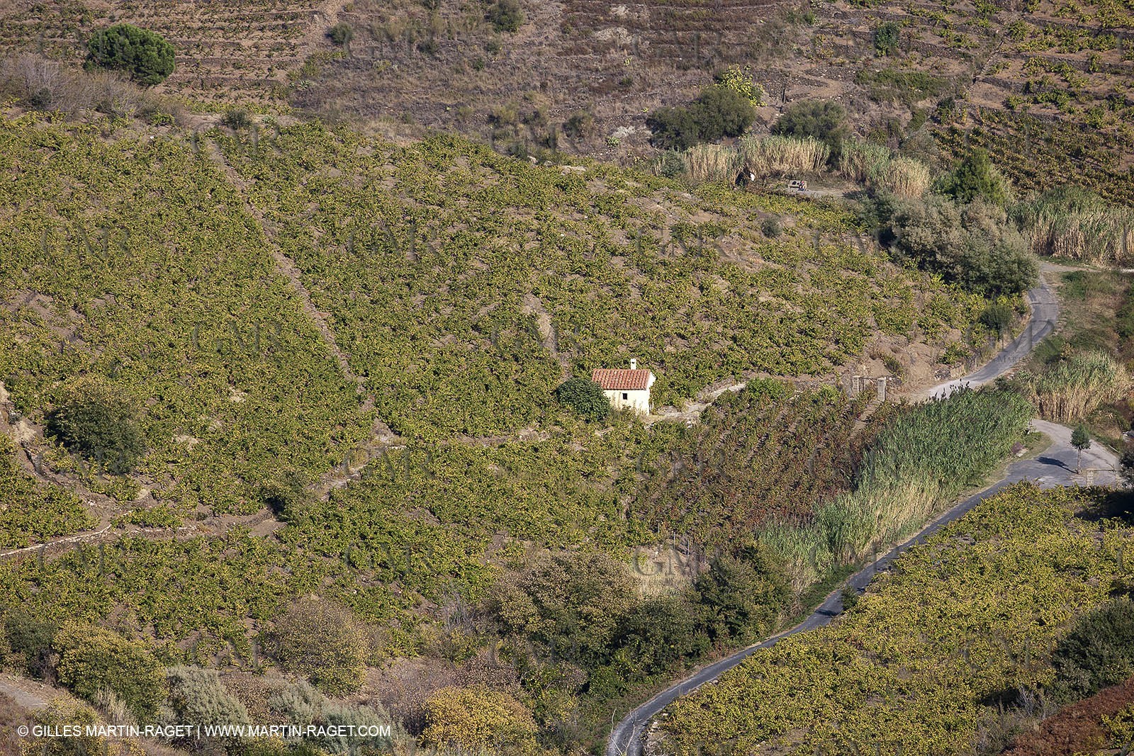 17 10 2011 - Vermeille Coast (FRA, 66) - Corbières Vineyards