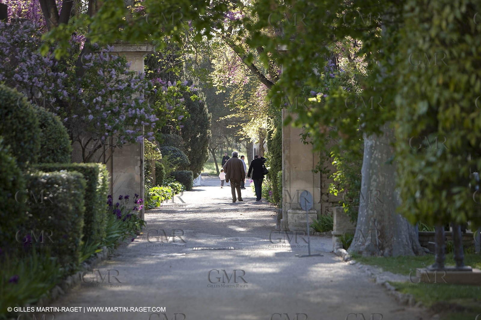 12 04 2008 - Saint Rémy de Provence - (FRA, 13) - Vincent Van Gogh south - Saint Paul de Mausole