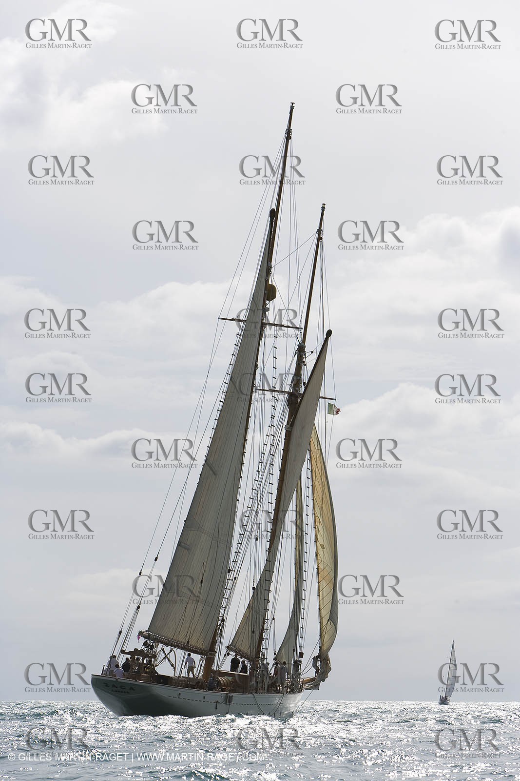 YC9H4608.JPG