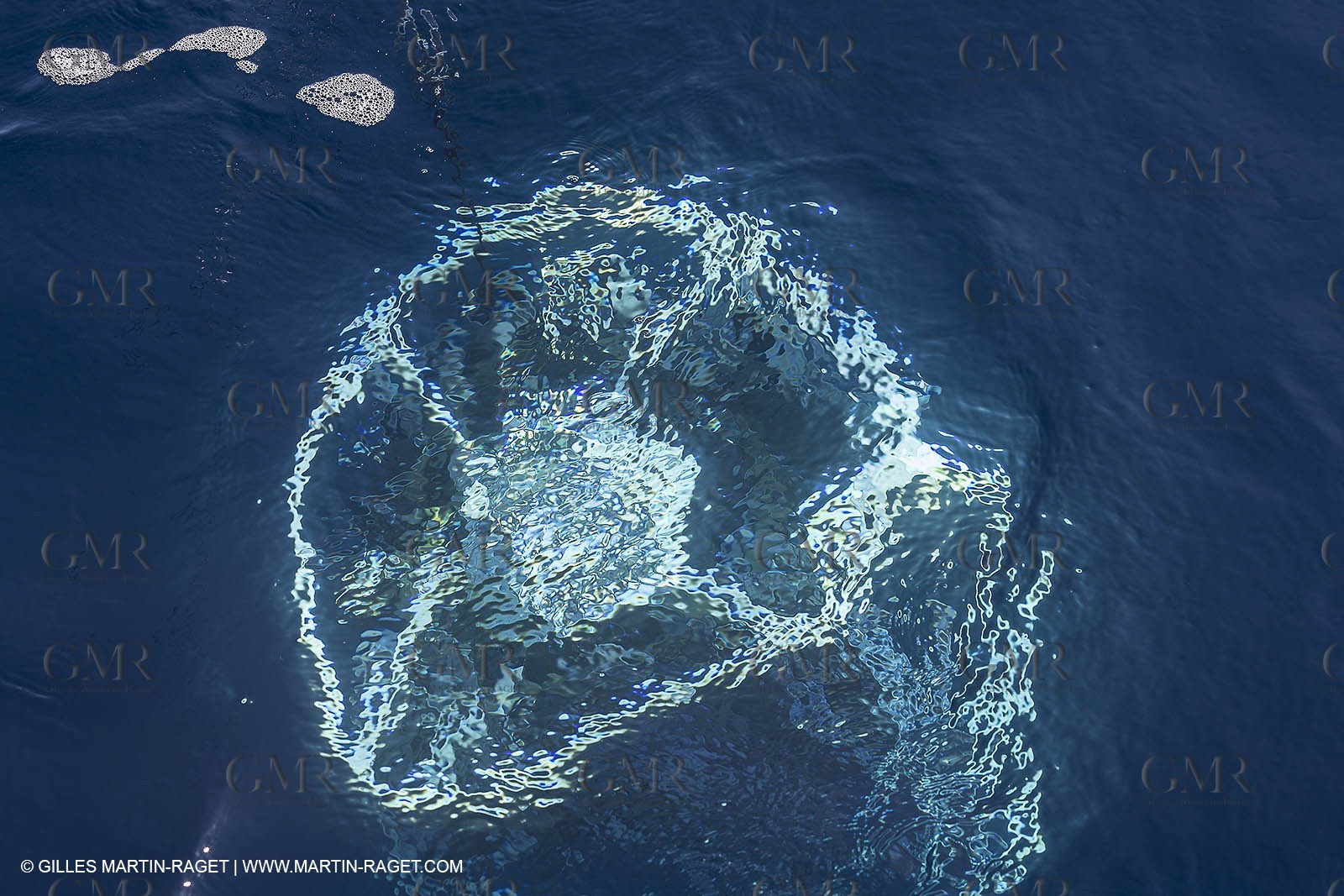 11 09 2014 - la Ciotat (FRA,13) - A bord Al Azzizi, navire de recherche océanographique construit par le chantier H2X, manipulation de matériel de mesure