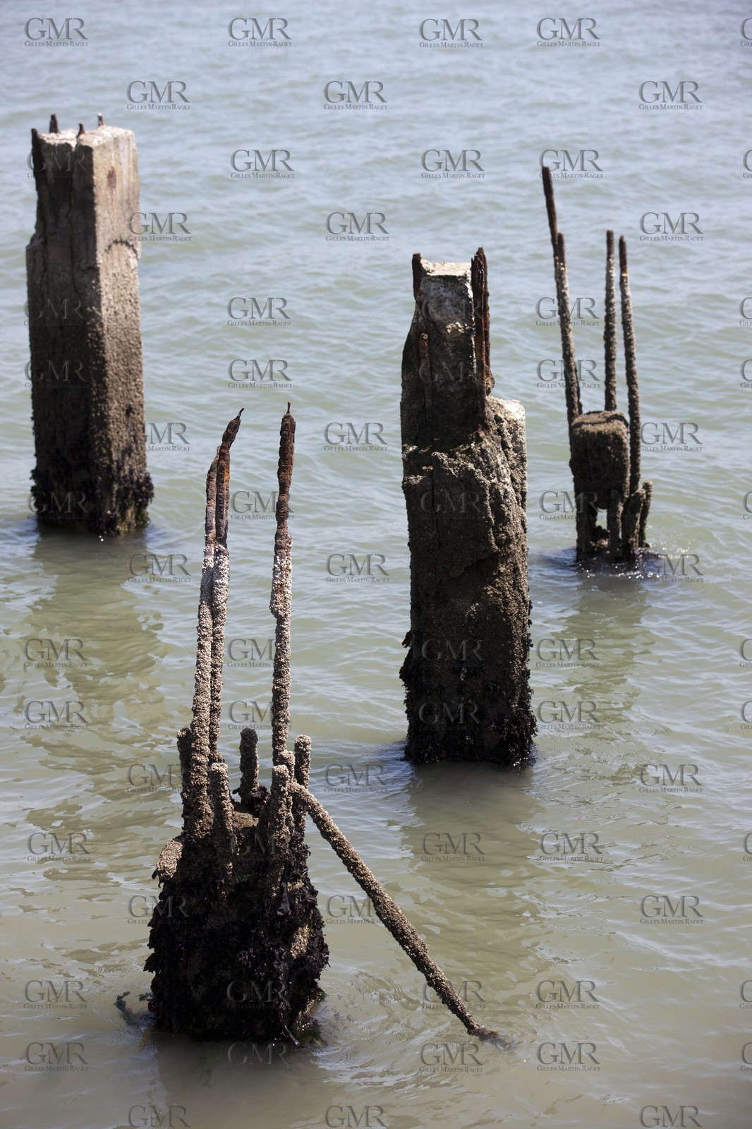 07 06 2011 - San Francisco (USA,CA) - 34th America's Cup - The Piers in their state of origin - Pier 14-22