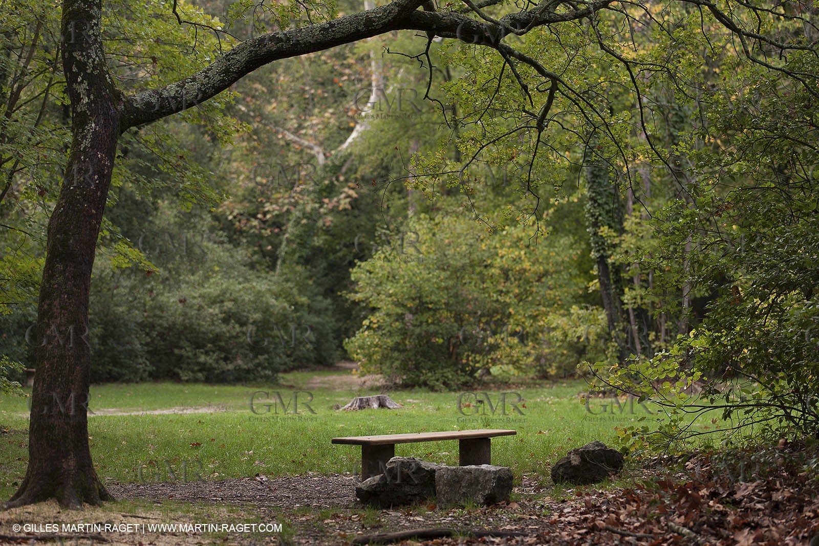 23 10 2012 - Gemenos (FRA) - Départemental Park of Saint Pons valley