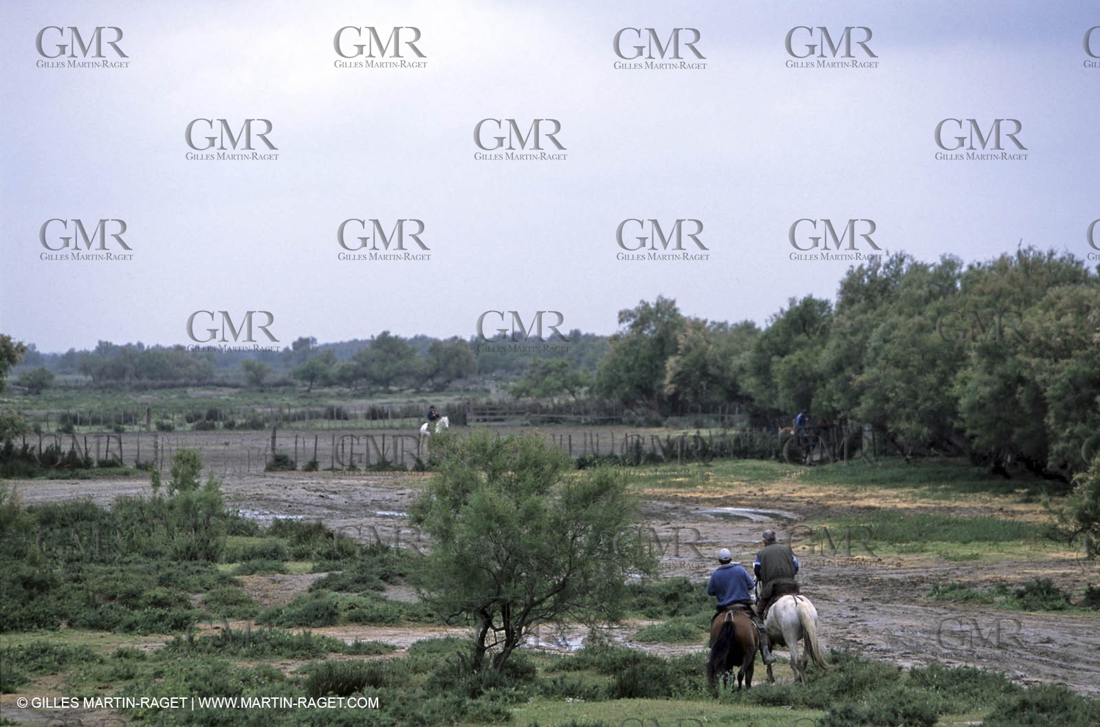 Arles - Camargue gardians (cow boys) at work