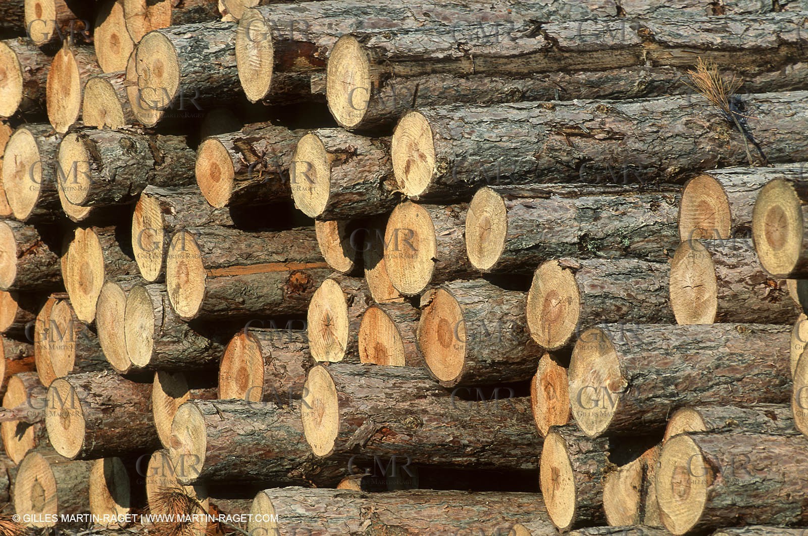 France - Southern Alps