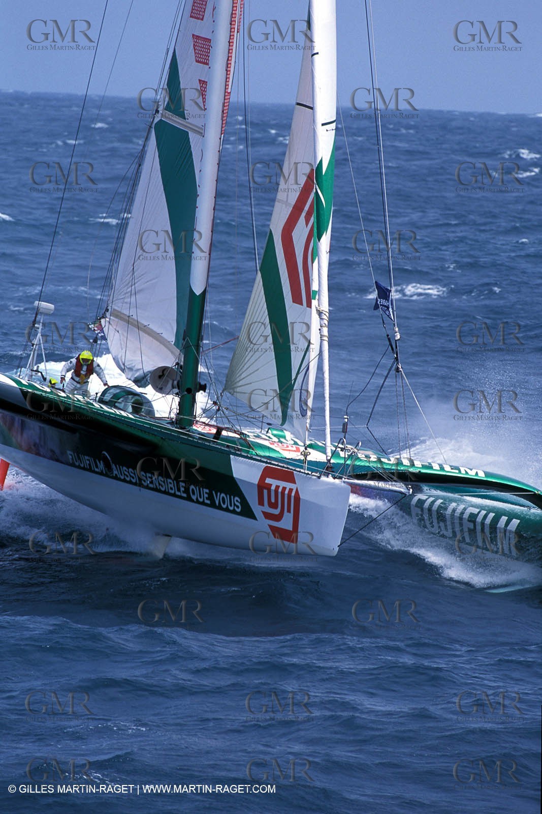 RhuMulti35.jpg