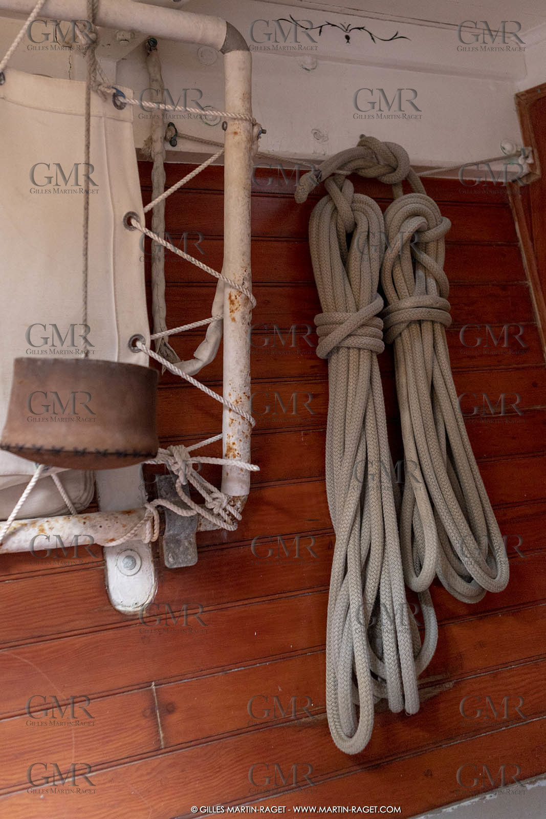 29 03 2019, Barcelona (Spain), Marigold