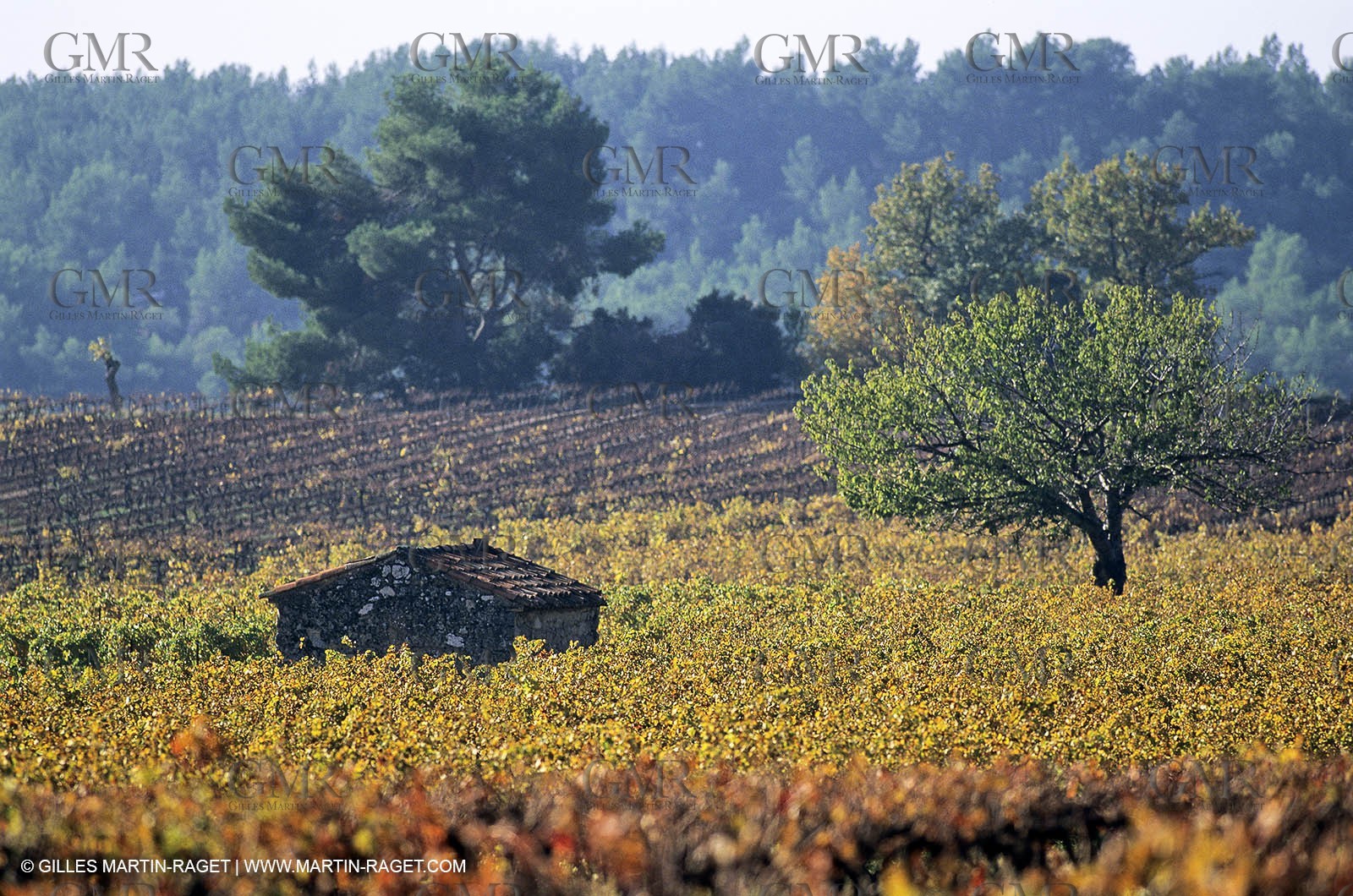 Aix en Provence area
