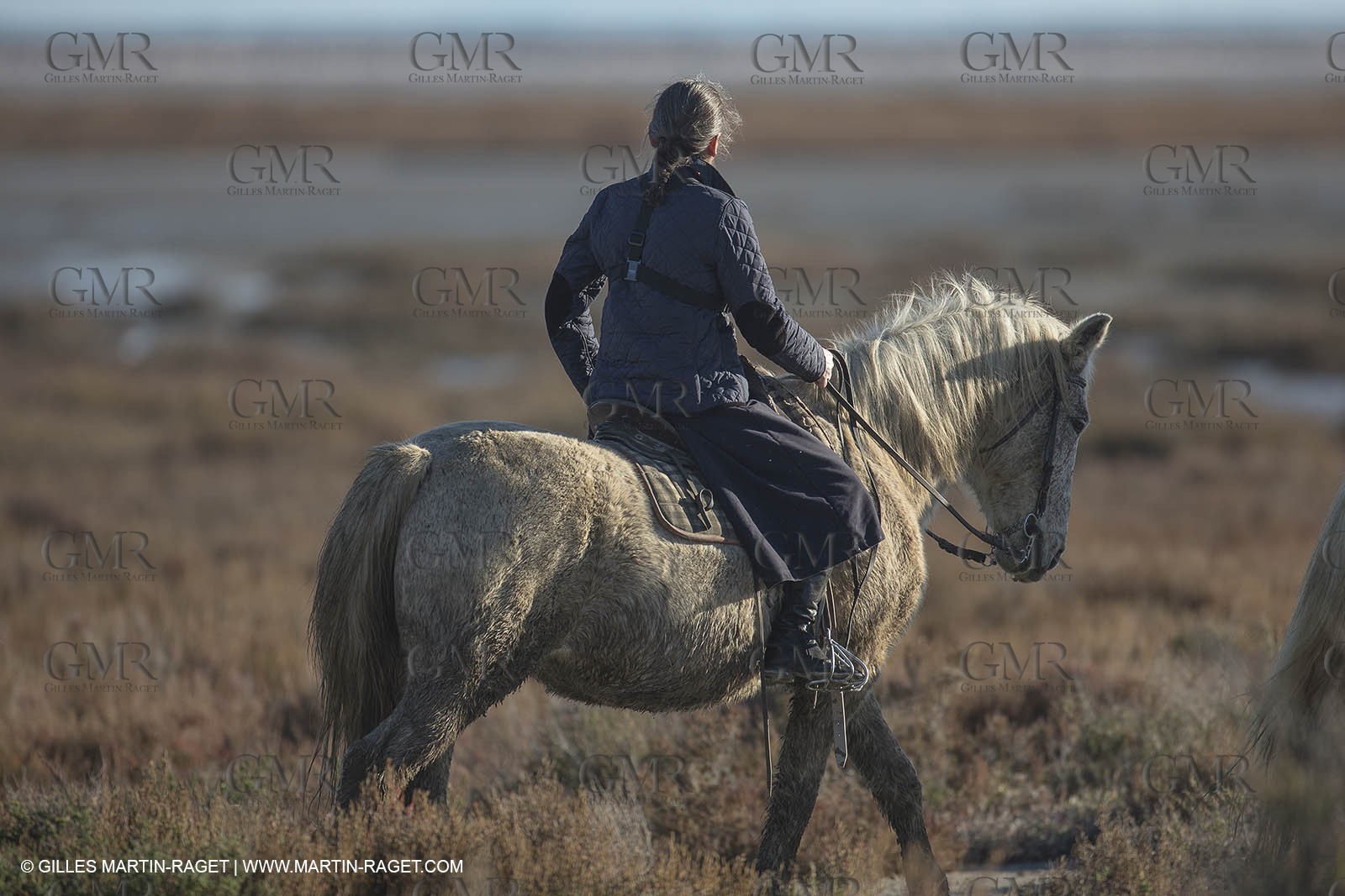 26 12 2013 - Les Saintes Maries de la Mer (FRA,13) - Horse riding at Cabanes de Cacharel