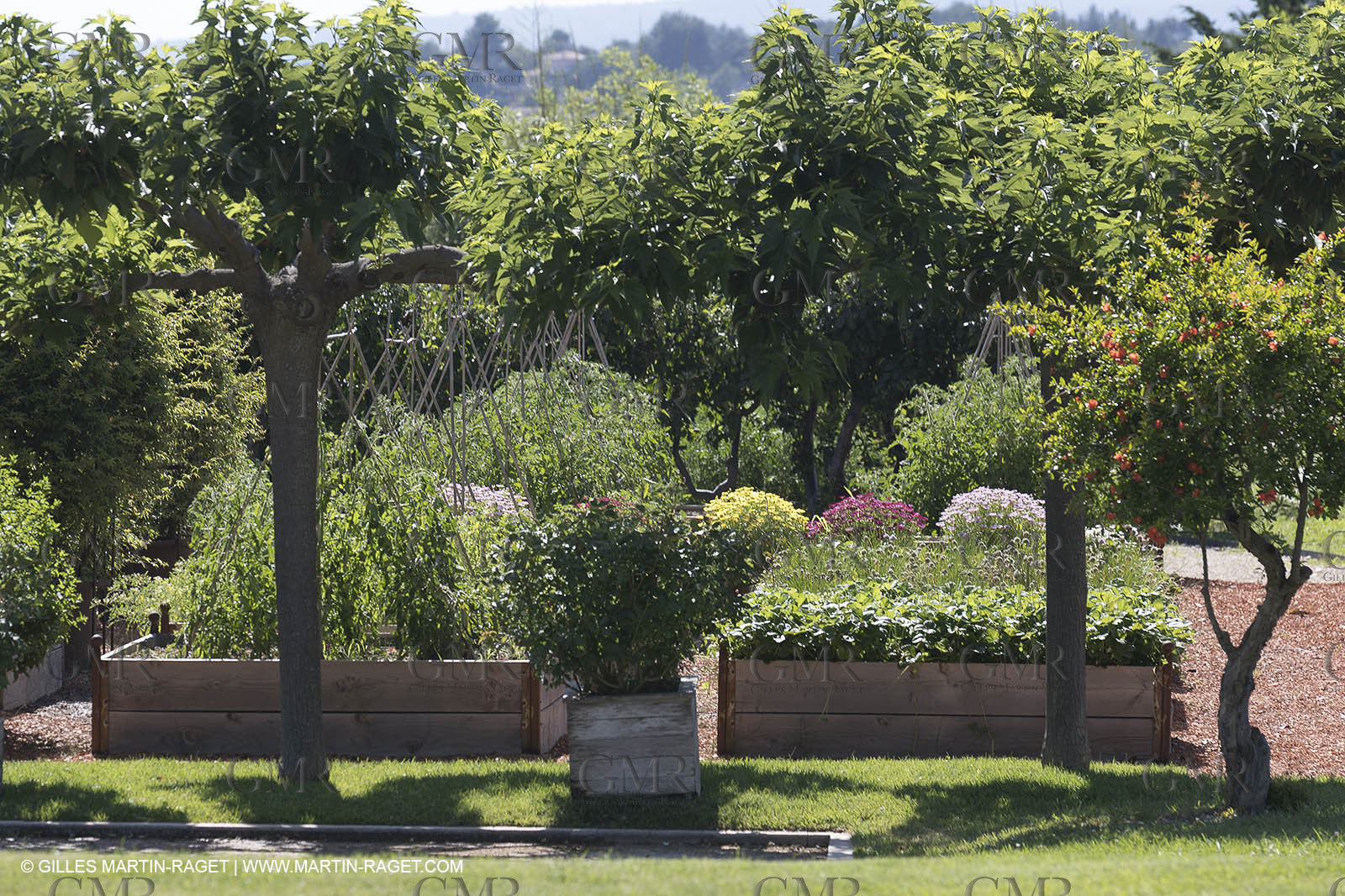 22 06 2018, Saint-Saturnin les Apts (FRA,84), Domaine des Andéols