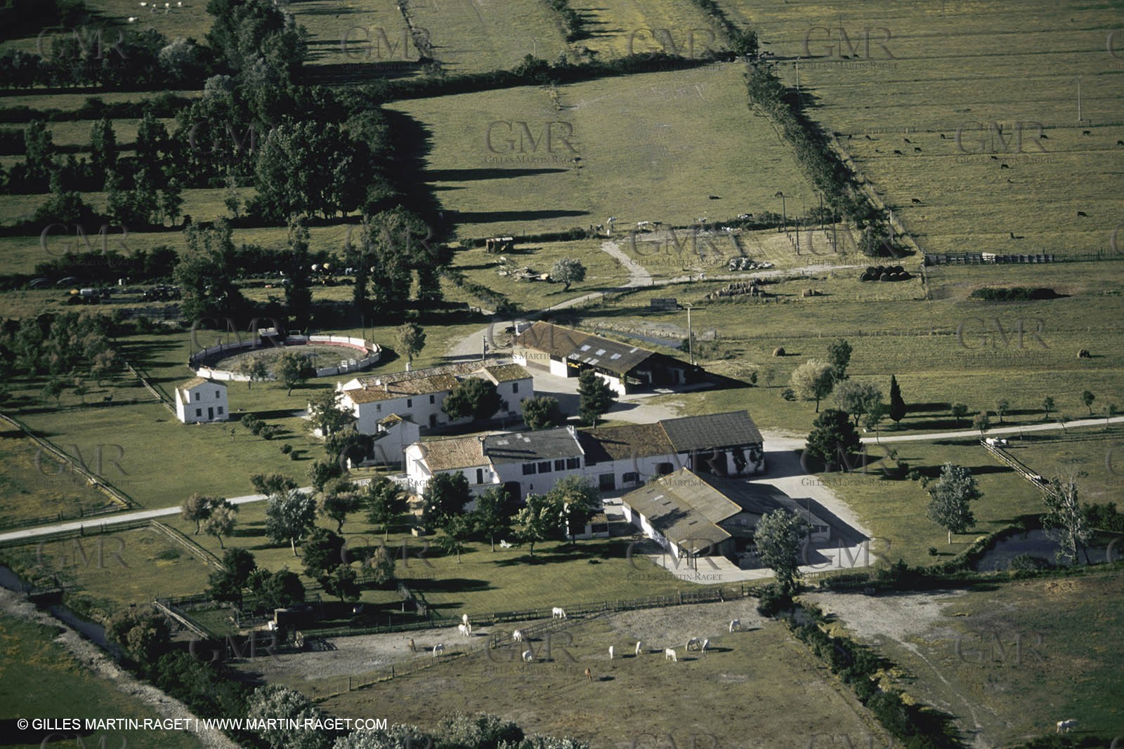France, Provence, Camargue