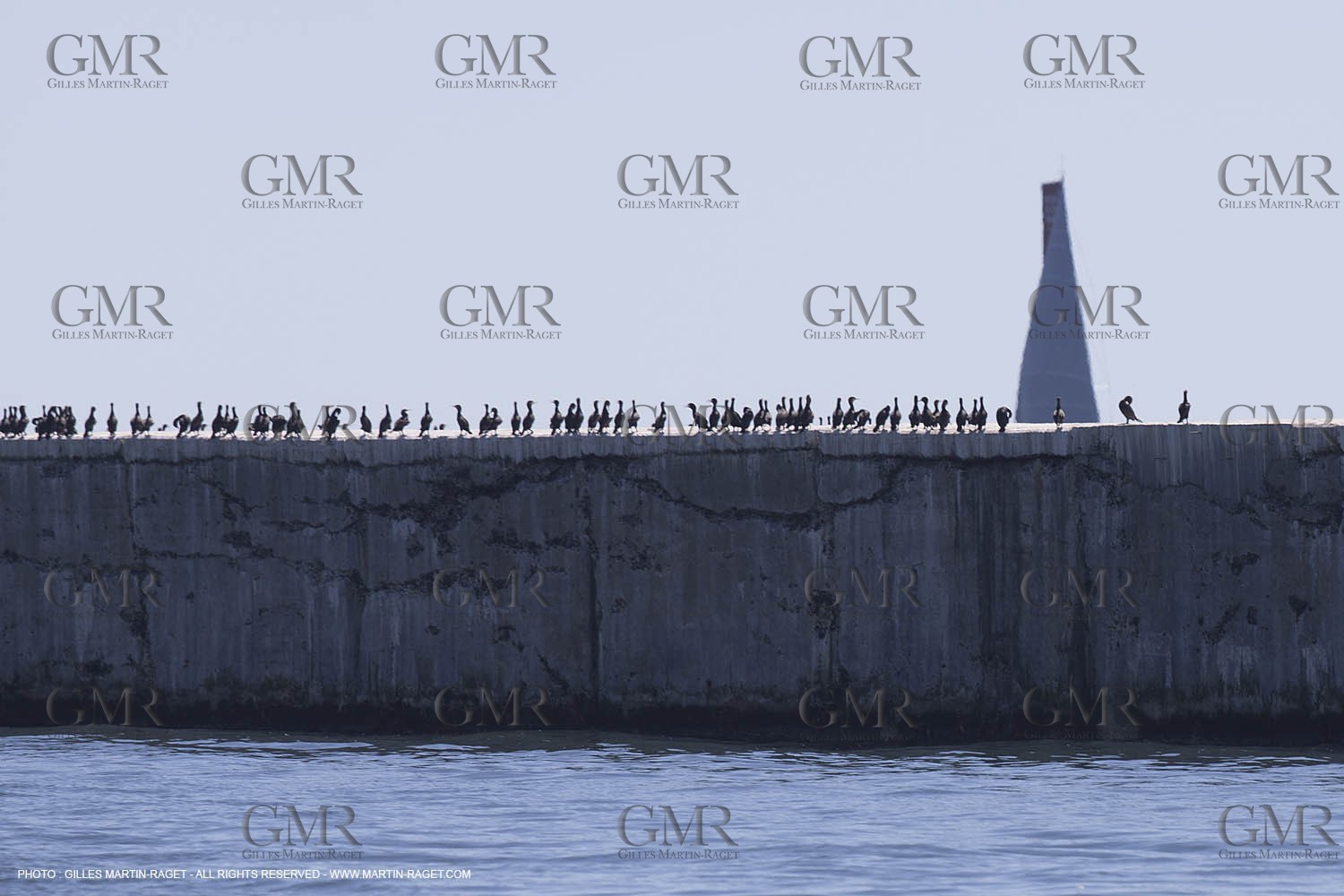 07 11 2014, Capetown (ZAF), Volvo Ocean Race 2014-15, Arrivals