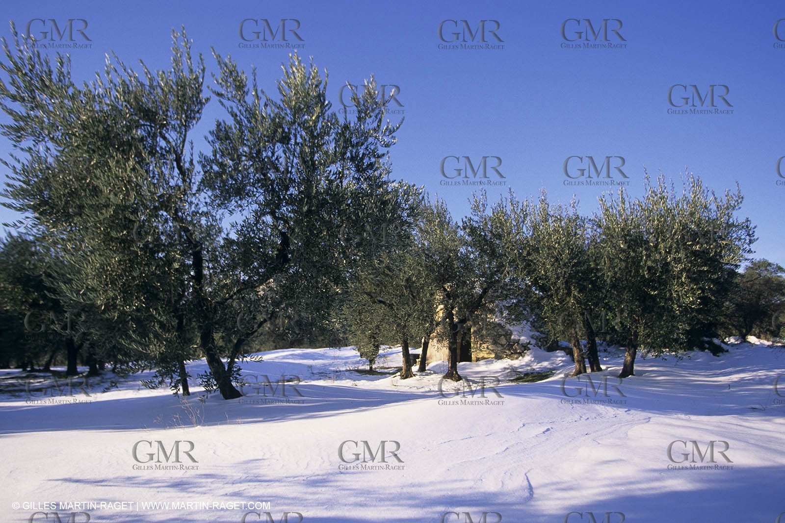 Provence sous la neige - Les Baux de Provence