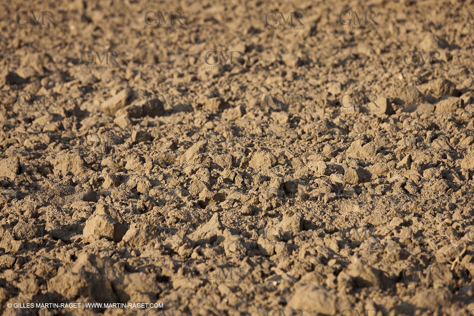 25 09 2009 - Sernhac (FRA,30)