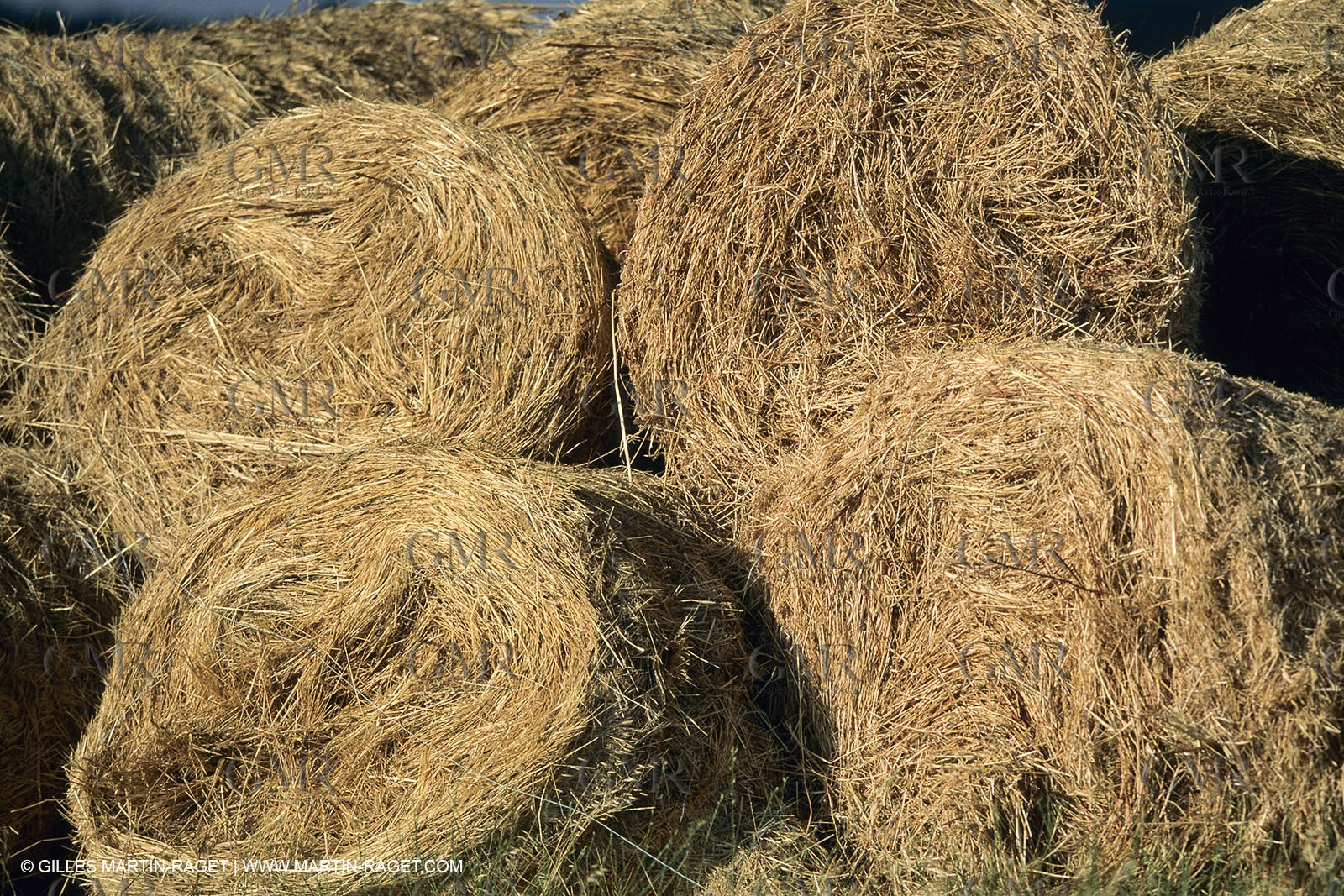 Nimes Metropole landscapes (FRA,30)