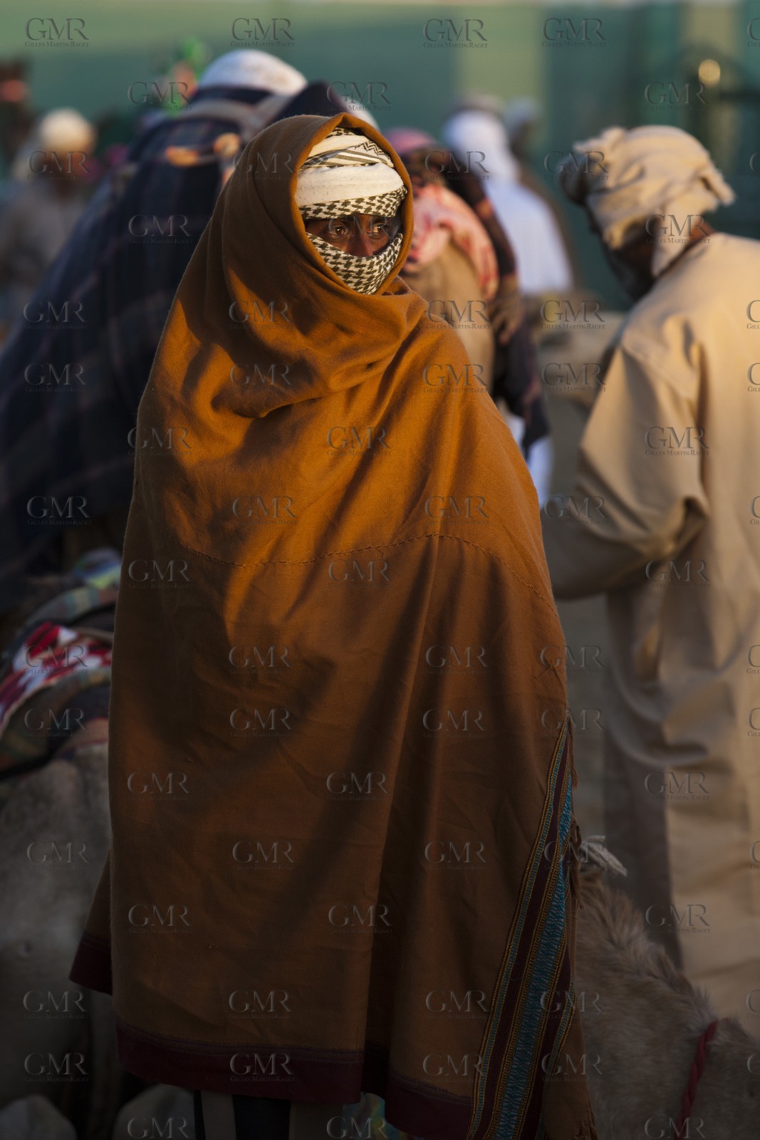 20 11 2010 - Dubai (UAE) - Camel races