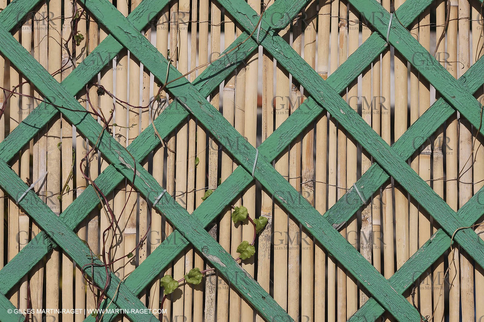 29 07 2009 - Marseille (FRA, 13) - Les Calanques