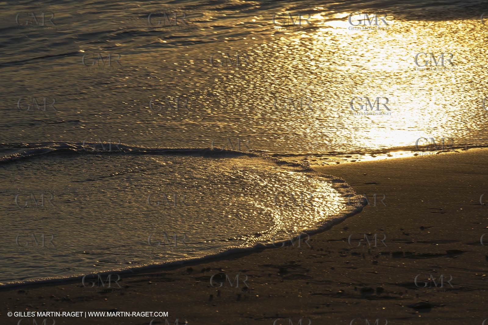 27 01 2013 - Les Saintes Maries de la Mer - Crinc Blanc residency