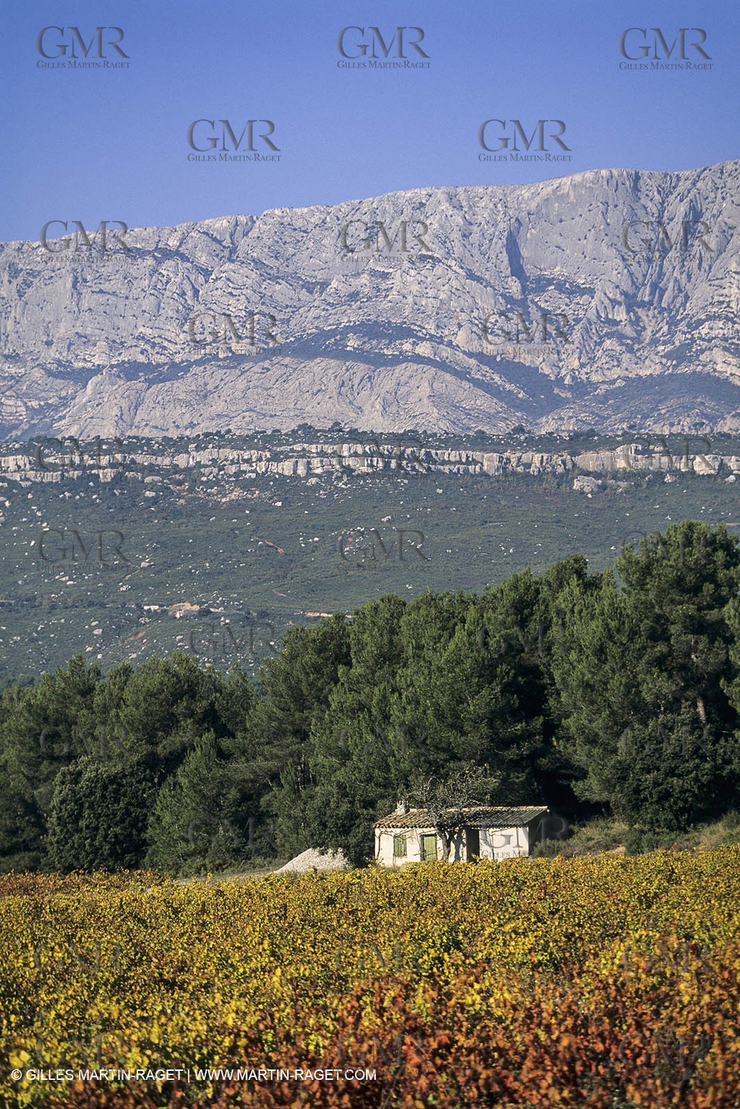 France, Provence, Pays d'Aix en Provence, vignoblmes des coteaux d'Aix, Côtes de Provence