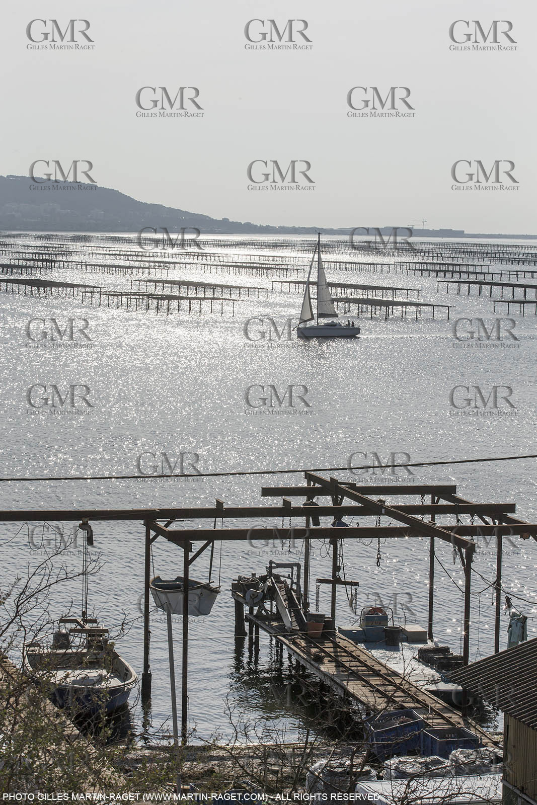 28 01 2016, Sète (FRA,34), Cruising on Thau Basin