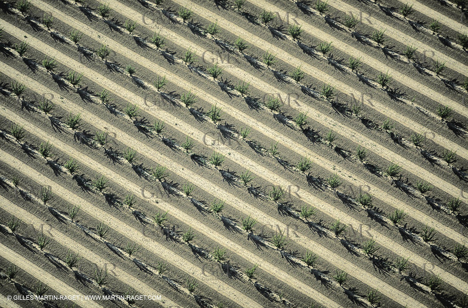 Barbegal plain - Alpilles