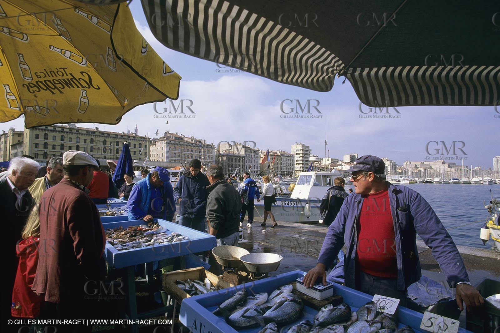 France, Provence, Pêche , Barques, pointus, pêche locale
