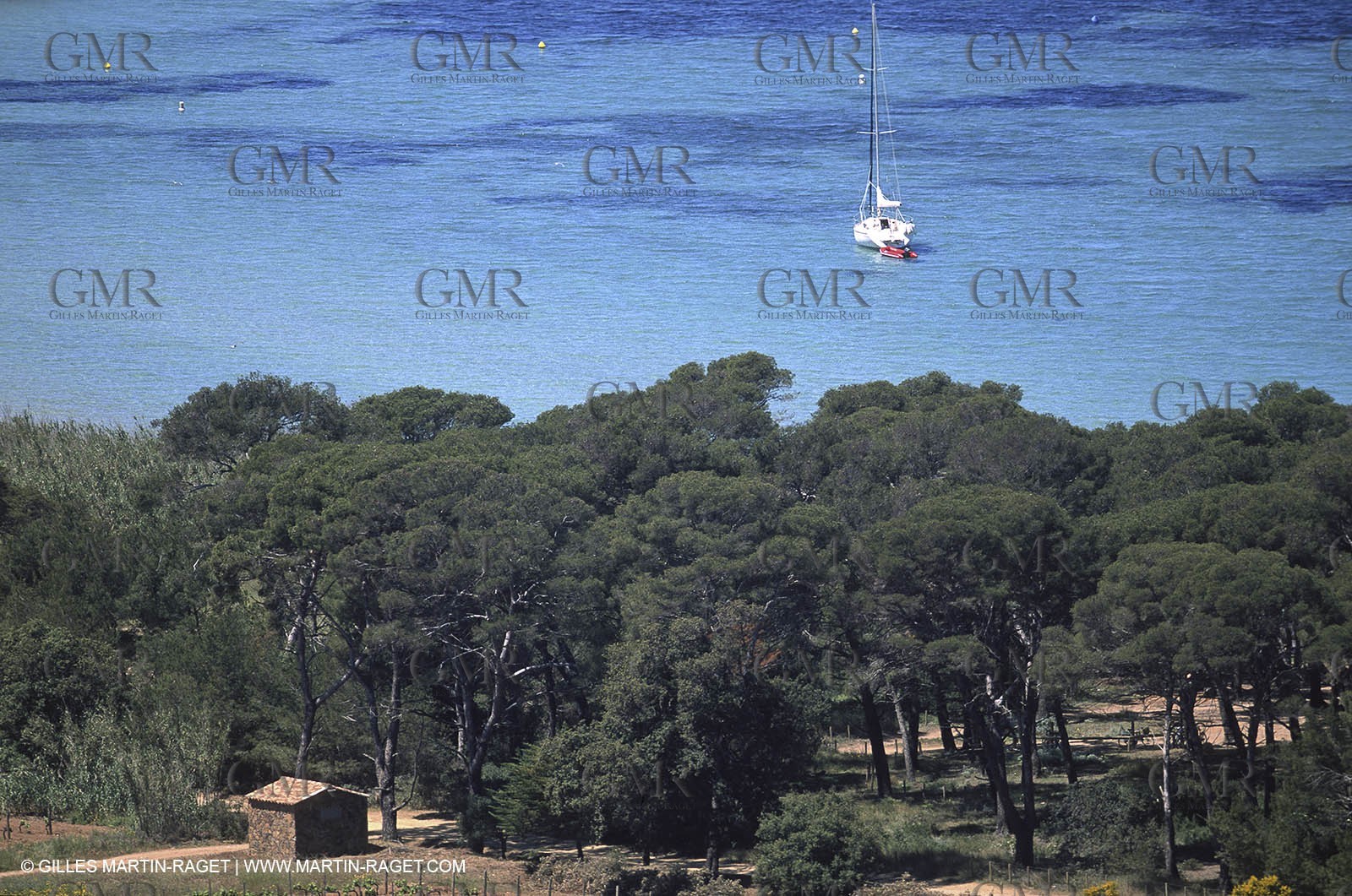 Var, 'Hyères islands, (FRA, 83), Porquerolles island