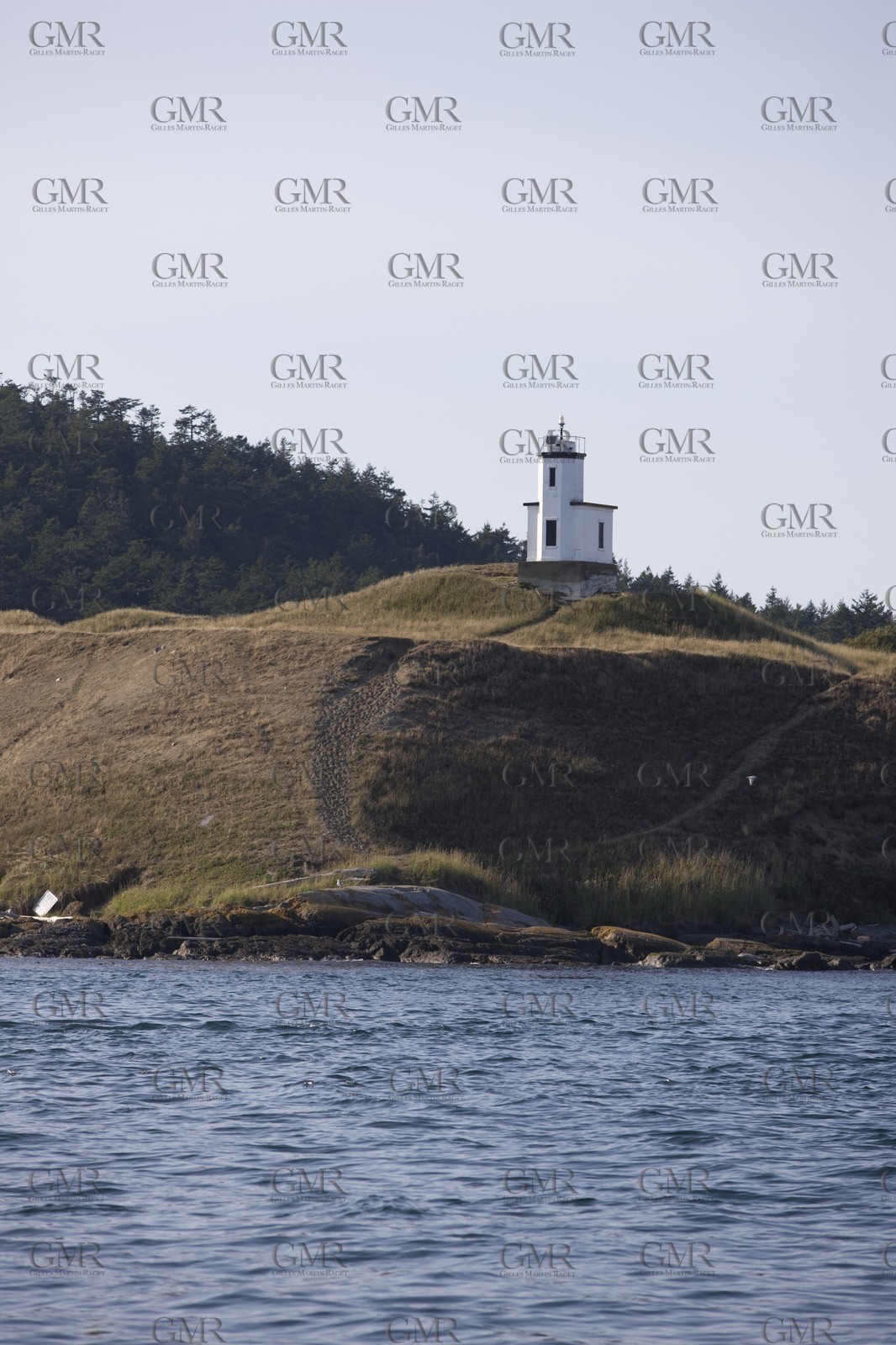 01 09 2008 - San Juan Islands (WA, USA) - Killer Whales