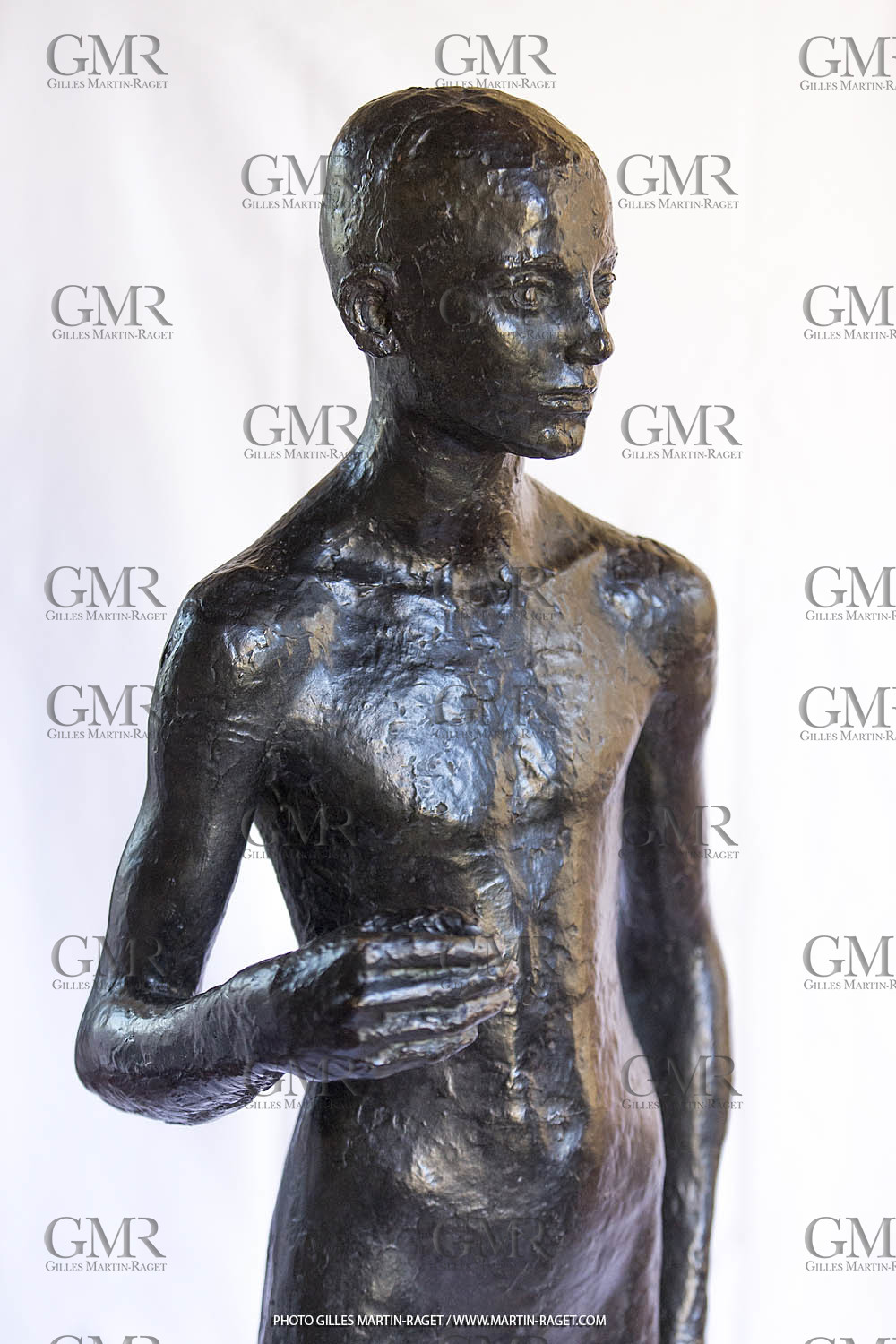 06 03 2016, Saint-Etienne du Grès (FRA,13), Oeuvre de Germaine Richier, Loretto I 1934, Bronze patiné foncé, Numéroté 4 6, fondeur Susse, Paris, 160 x 52 x 35 cm, Collection particulière