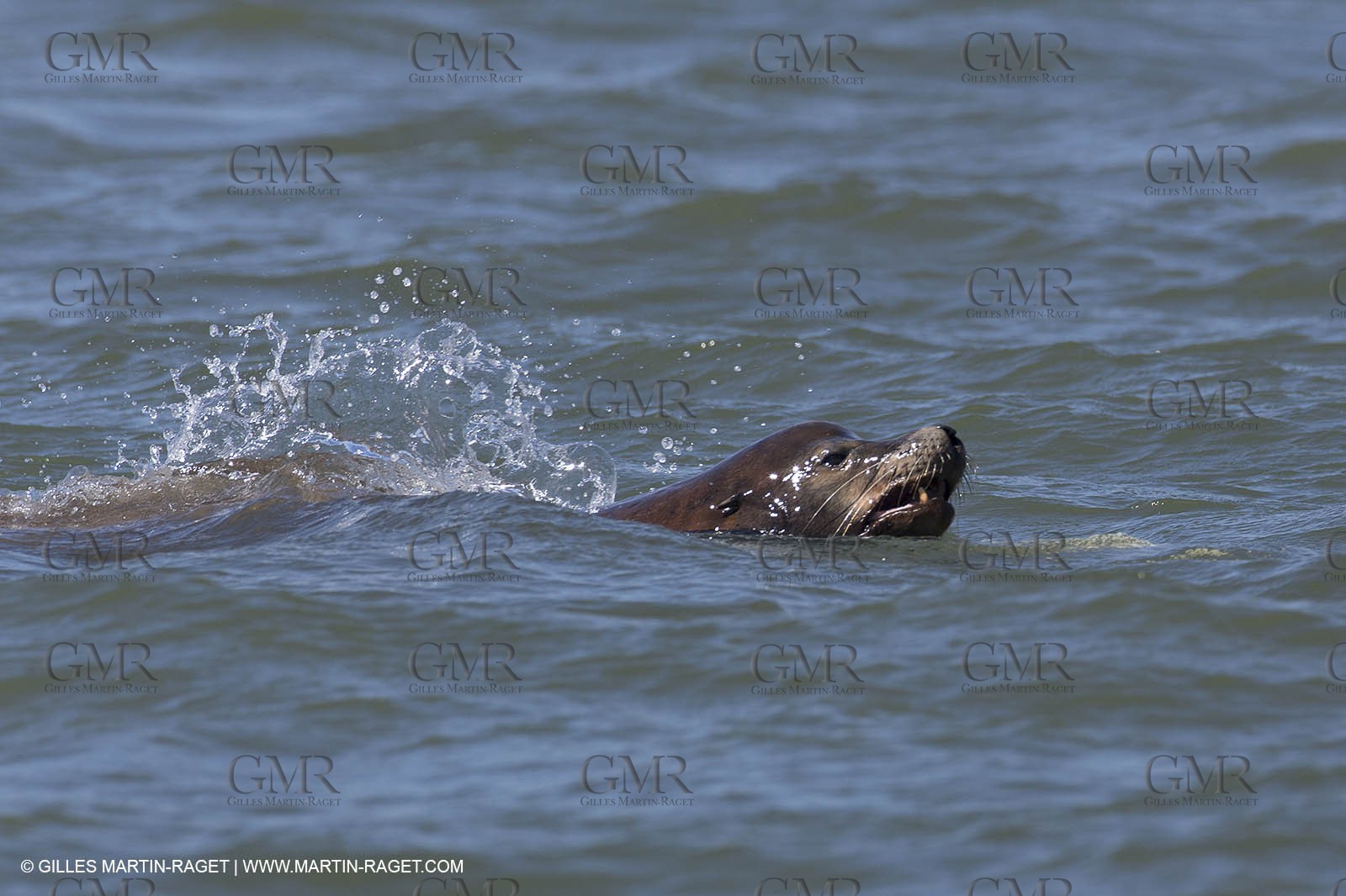 19 09 2013 - San Francisco (USA,CA) - 34th America's Cup - Final Match - Racing Day 9.