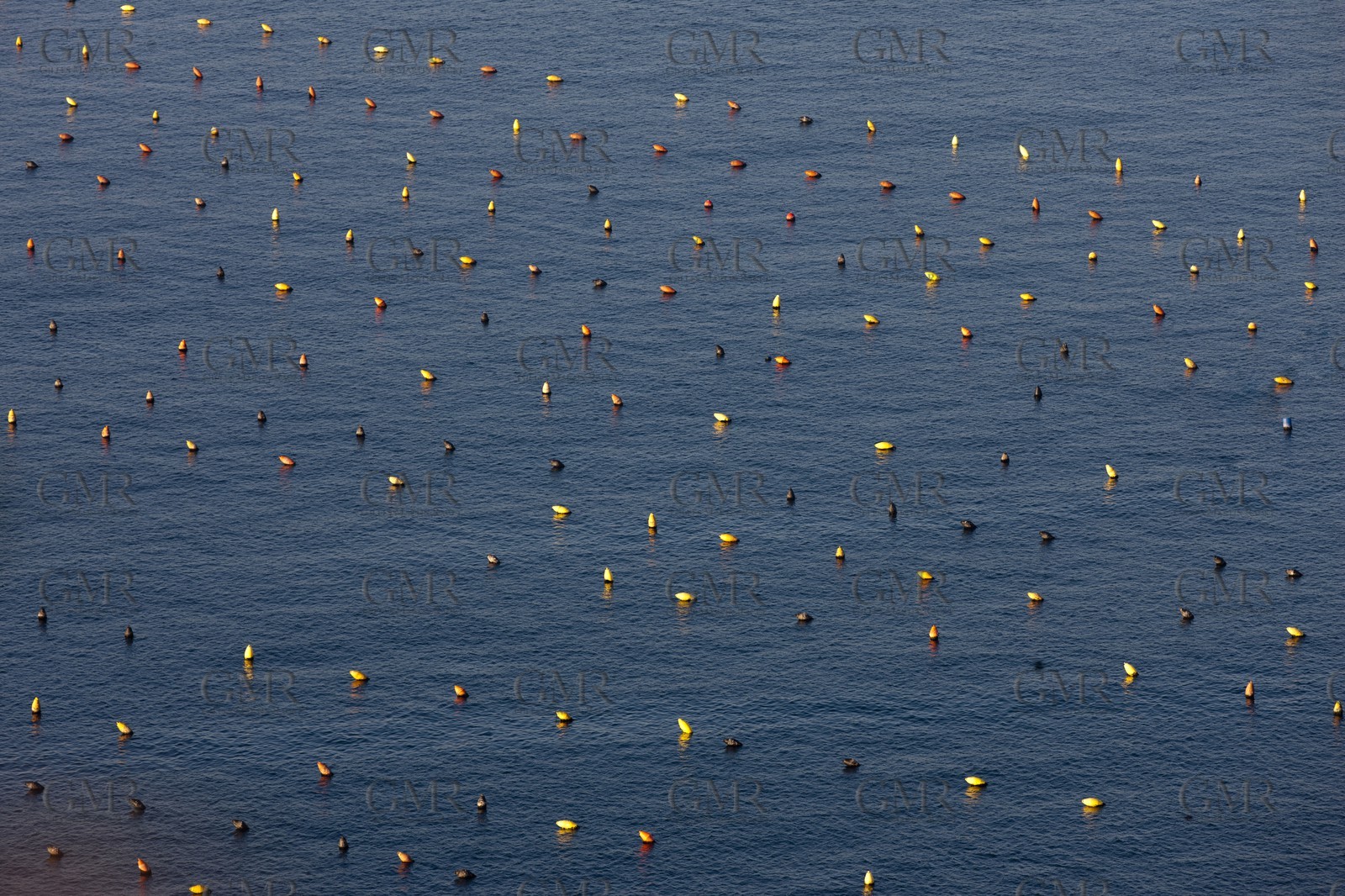 24 02 2012 - Napoli (ITA) - 34th America's Cup - America's Cup World Series Naples 2012 - As seen in Napoli