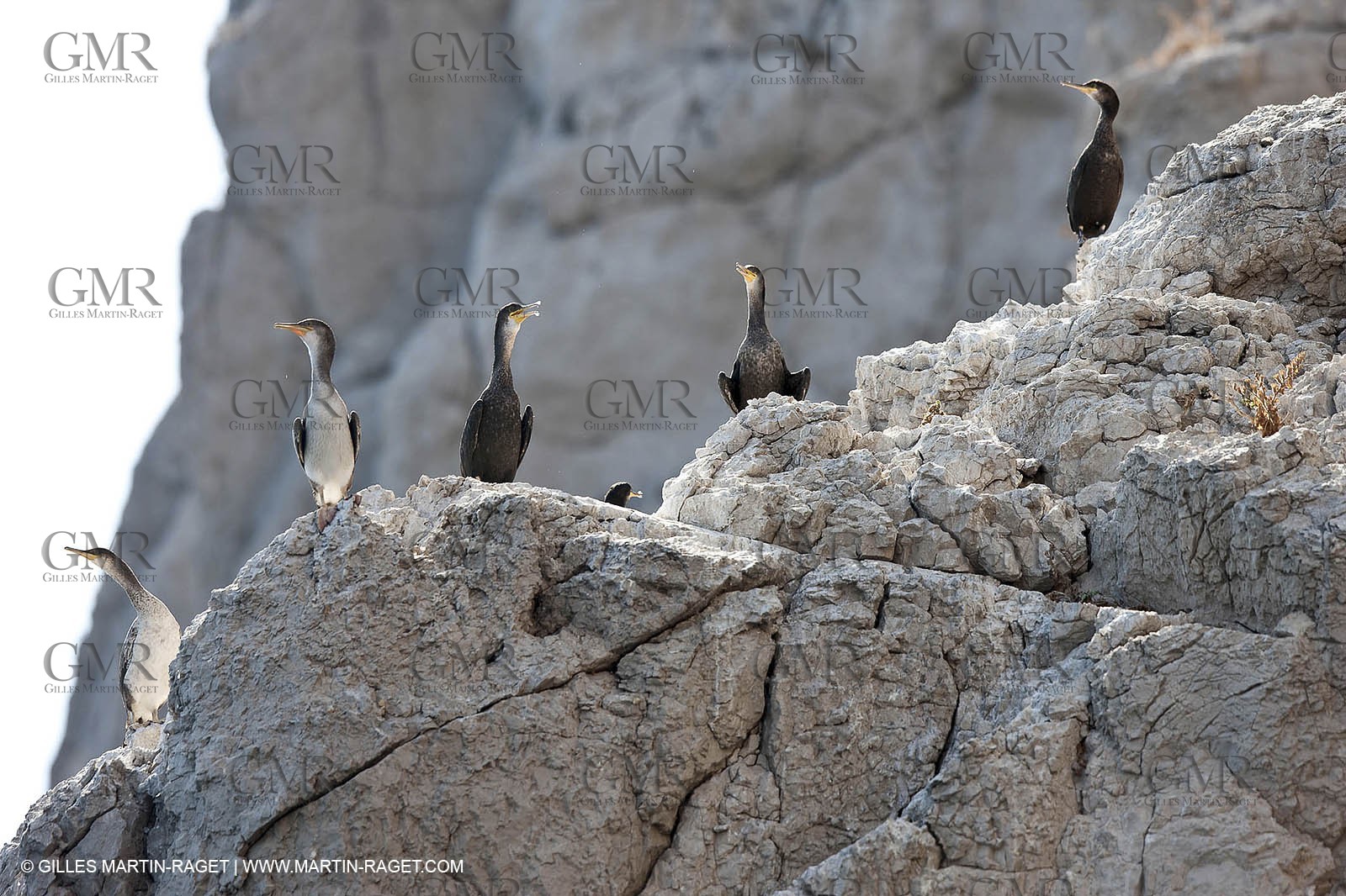 29 07 2009 - Marseille (FRA, 13) - Les Calanques - Riou island