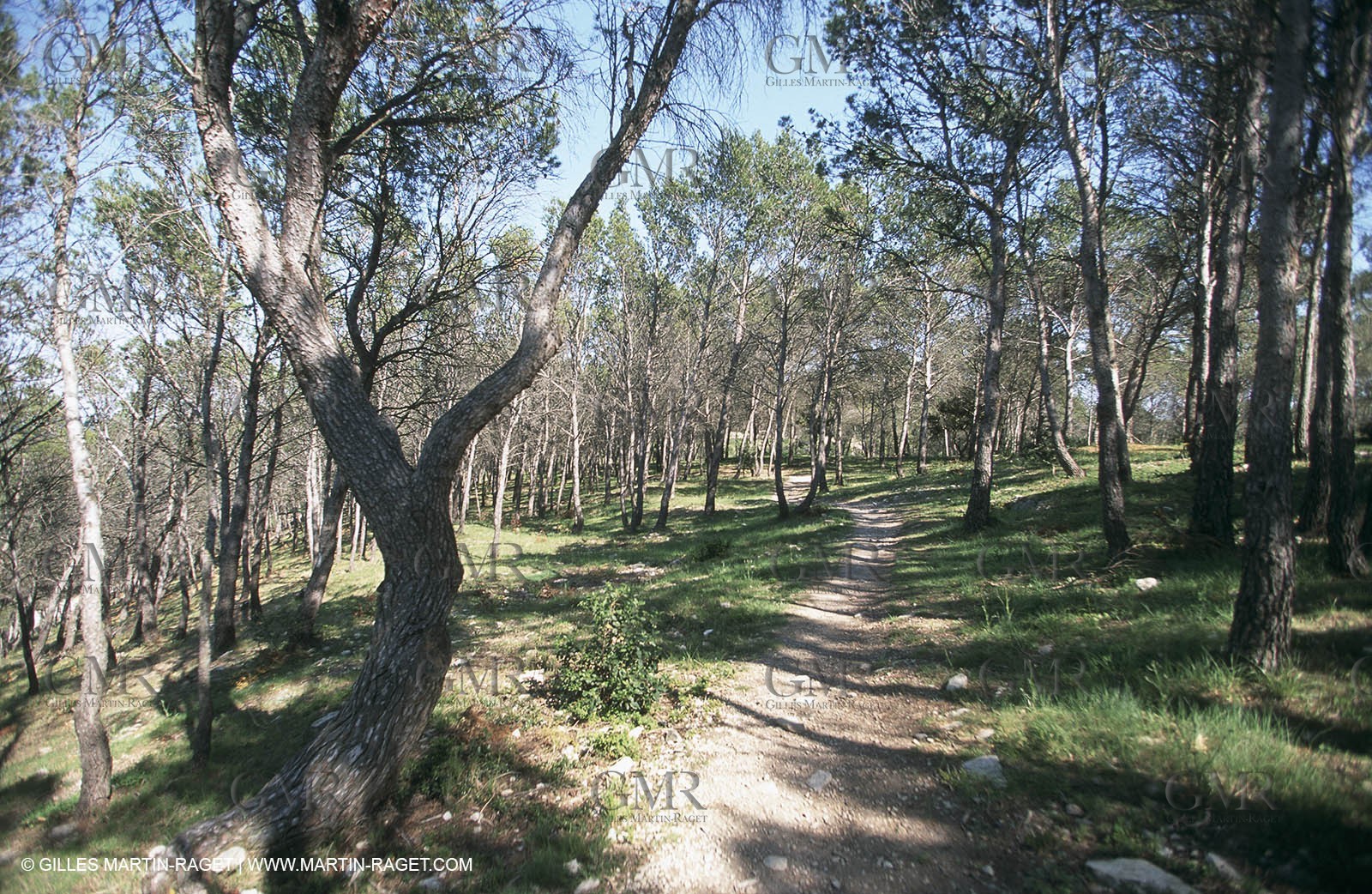 Paysages de Nîmes Métropole (FRA,30) - La Vaunage