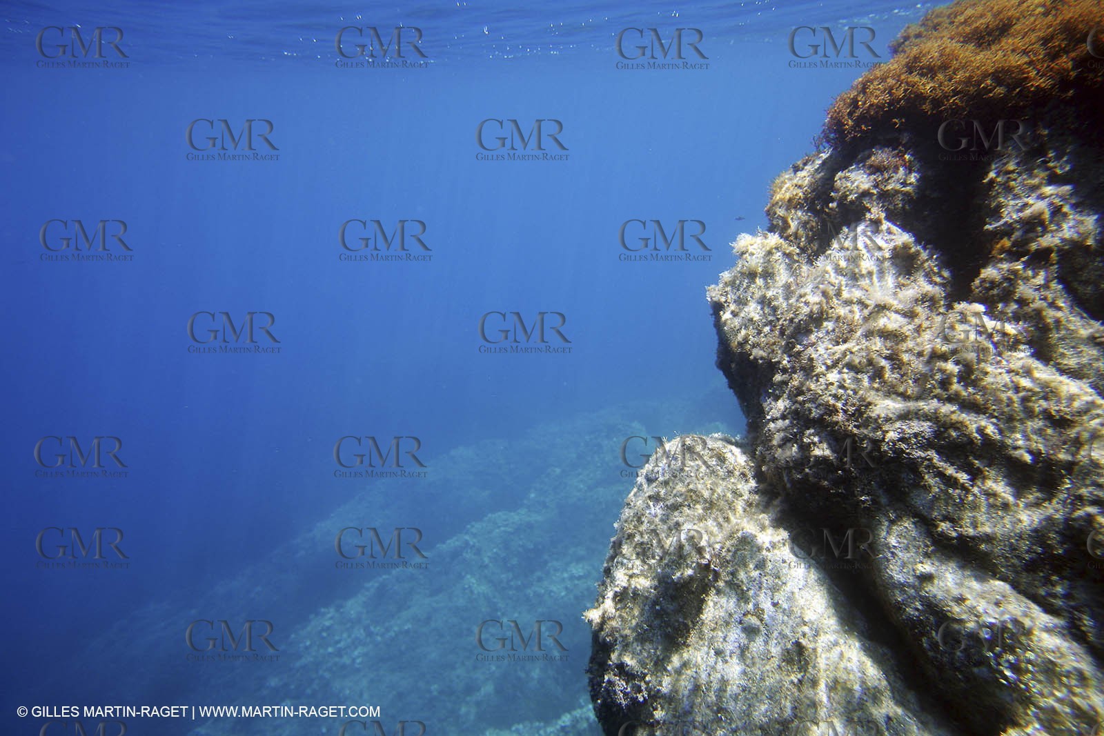 Snorkeling - Diving - 2005, Port Cros Island