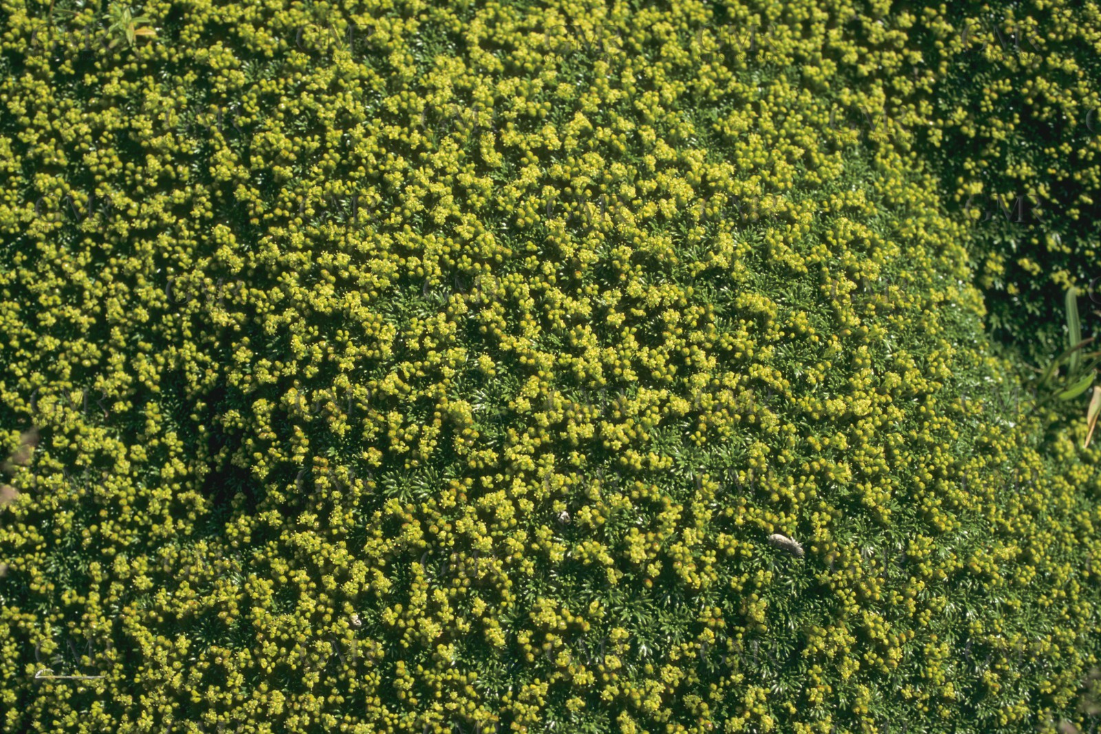 Sailing destinations, Patagonia, Chile