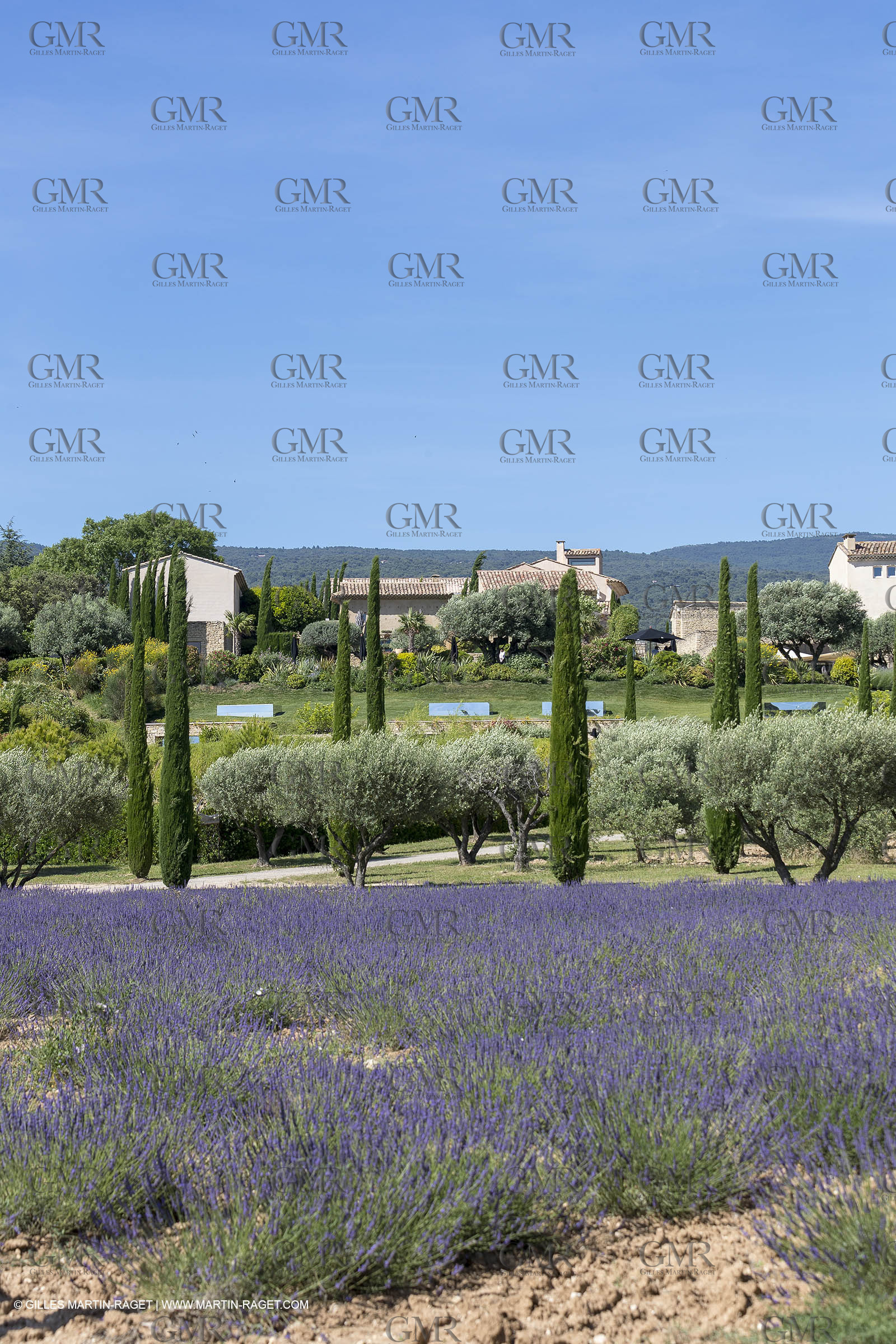 22 06 2018, Saint-Saturnin les Apts (FRA,84), Domaine des Andéols