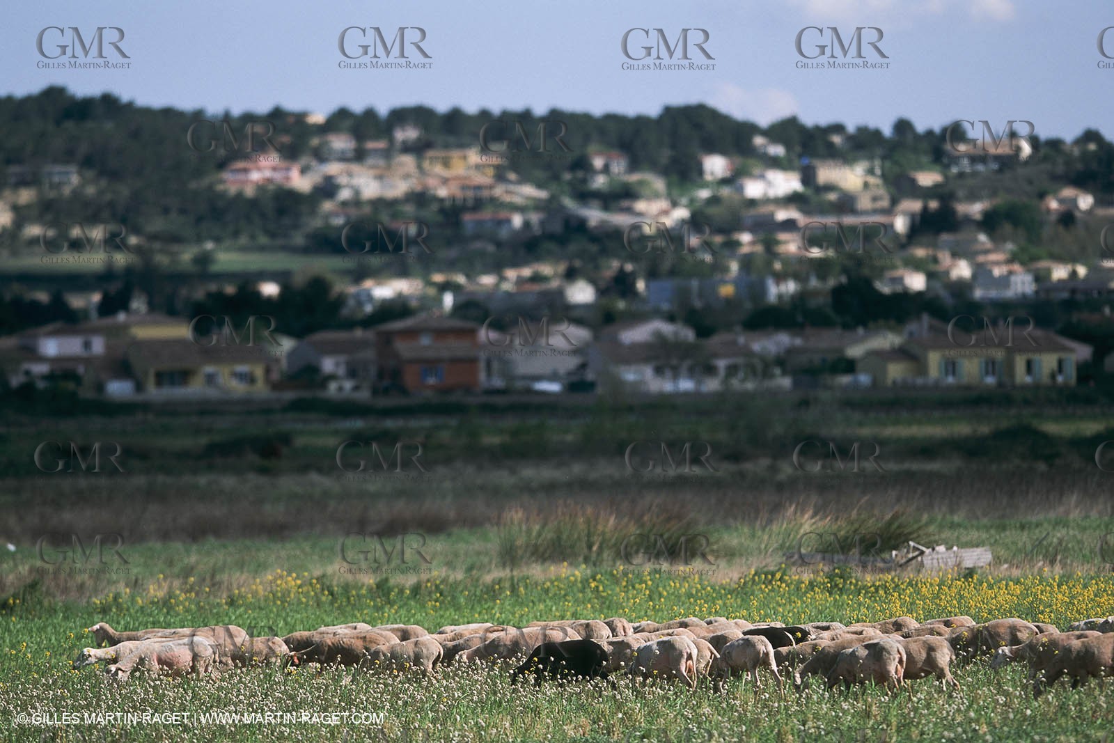 Nîmes Métropole landscapes (FRA,30) - Vaunage