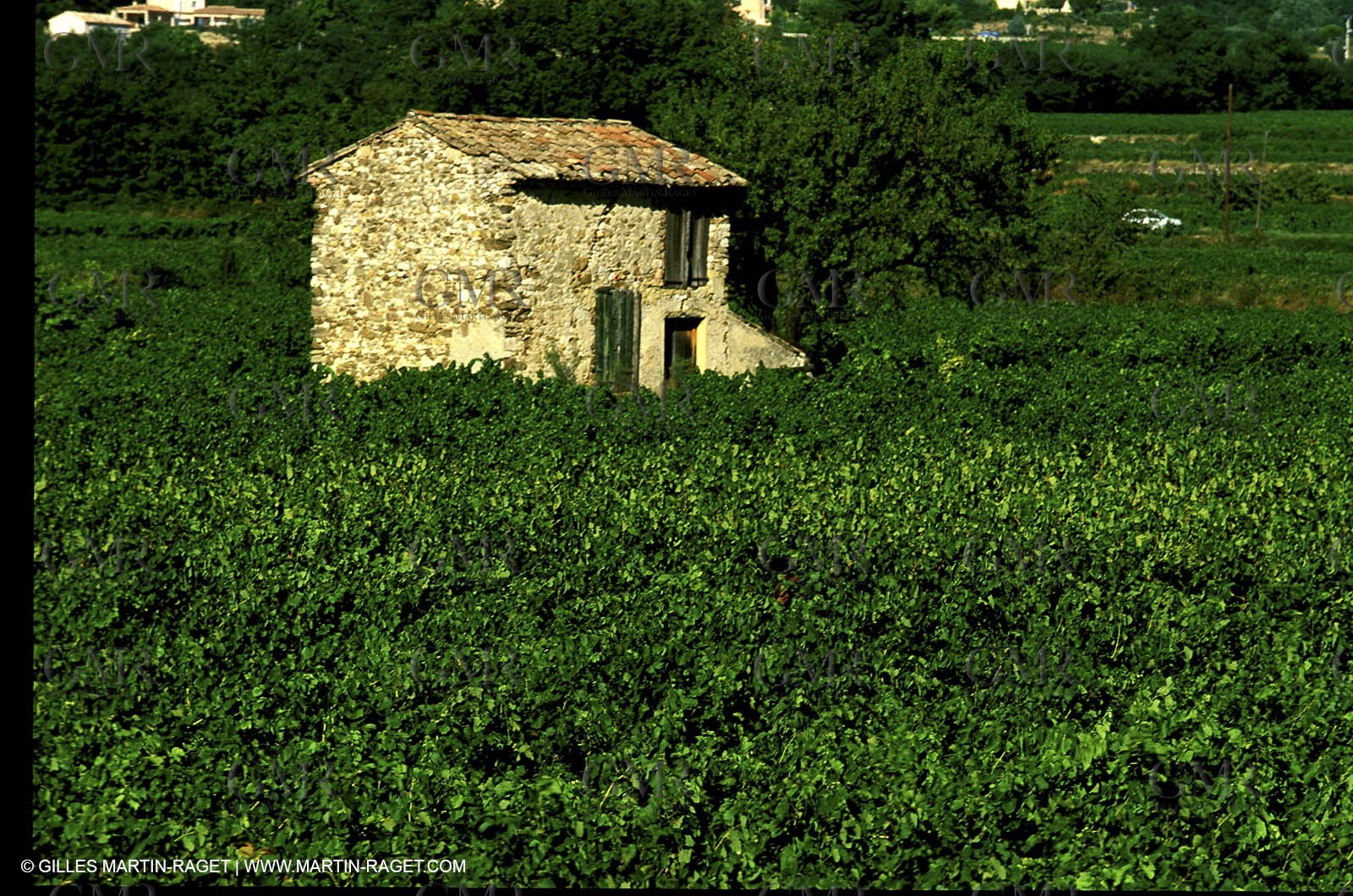 Luberon - Cant detail