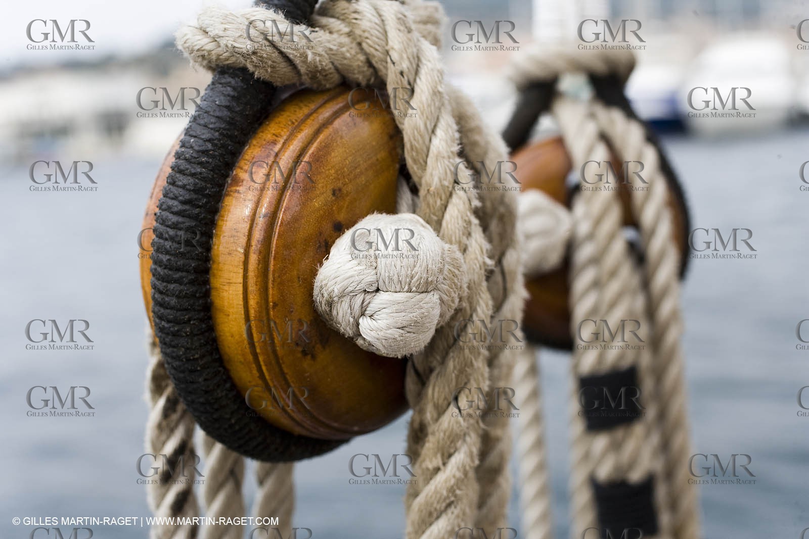 Partridge - Details and interior shots