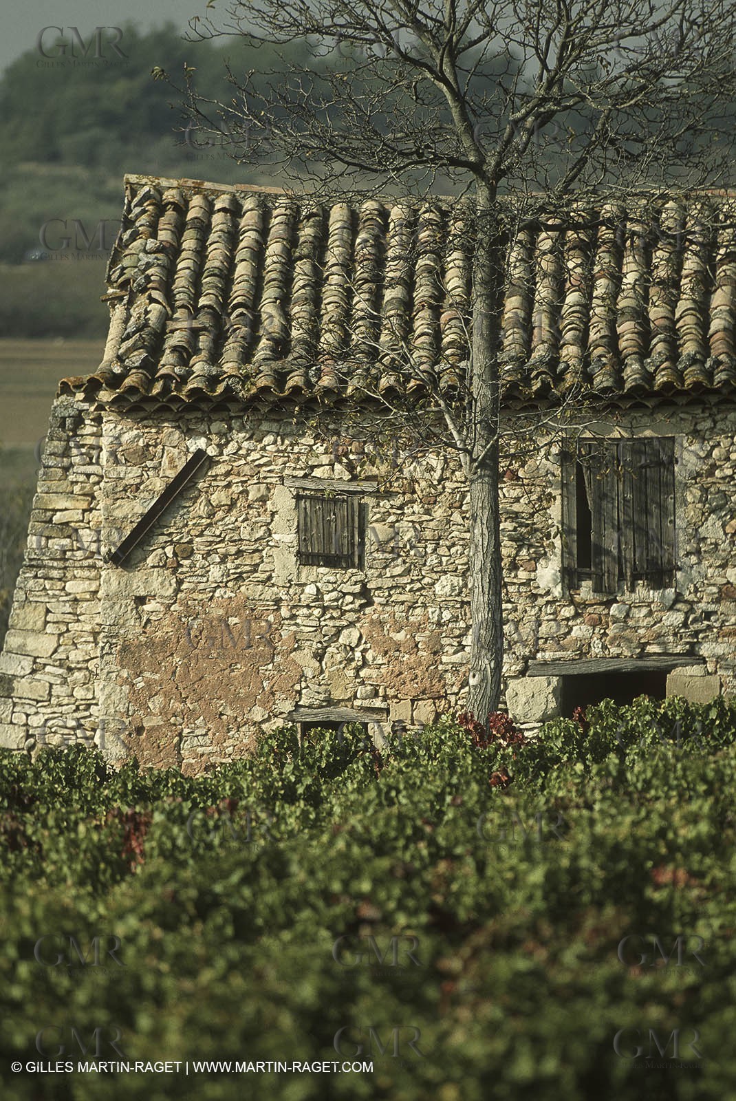 Luberon (FRA,84), Couleurs d'automne