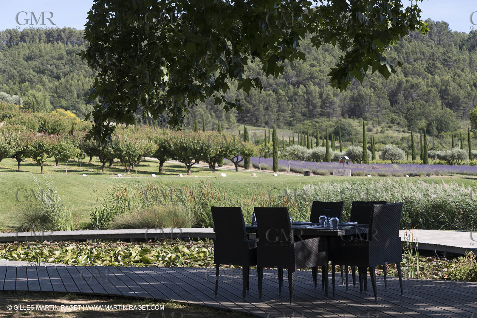 22 06 2018, Saint-Saturnin les Apts (FRA,84), Domaine des Andéols