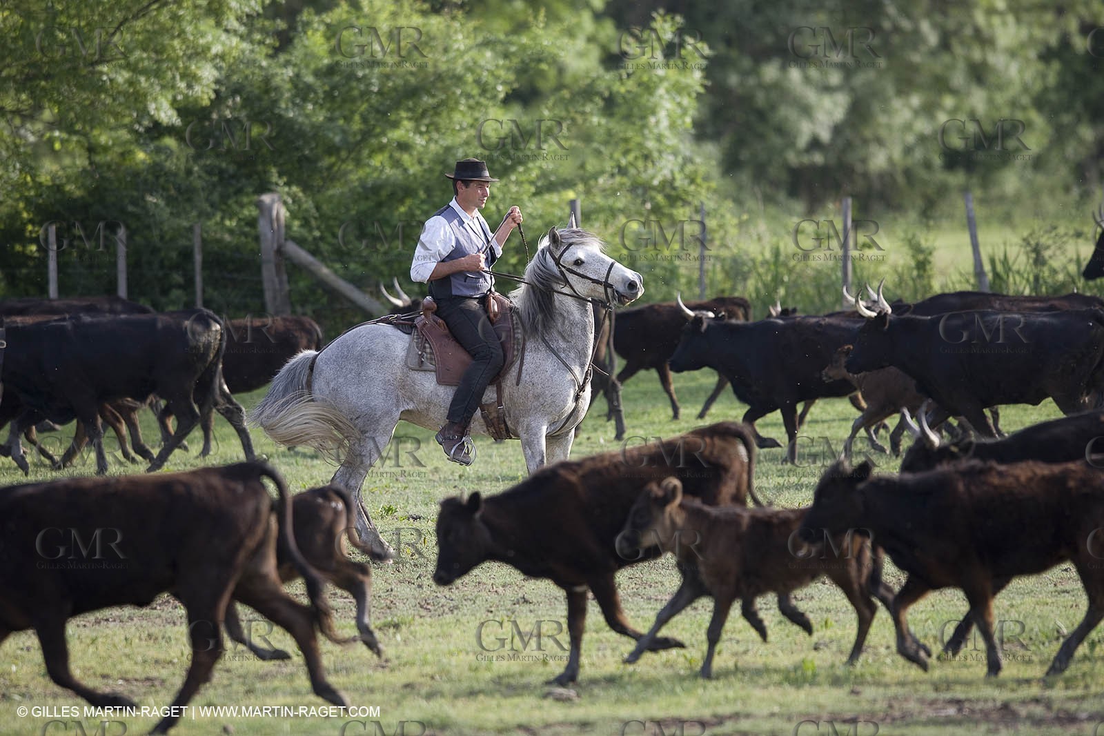 07 05 2008 - Le Cailar (FRA,30) - Stock work at Mas du Pont de Laute domain