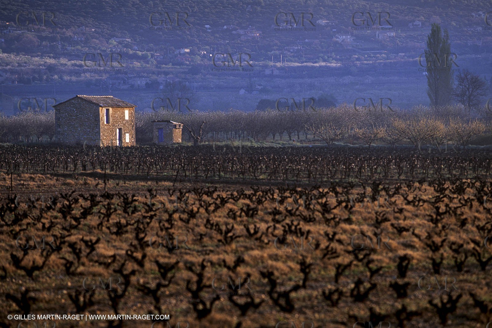 Luberon in winter near Saint Satrunin les Apt (FRA,84)