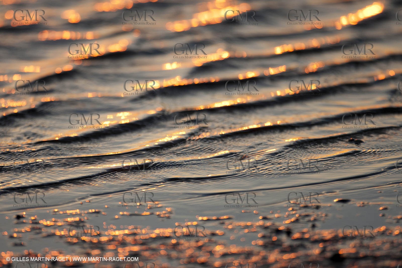25 05 2011 - Les Saintes Maries de la Mer (FRA,13) - gypsies gathering