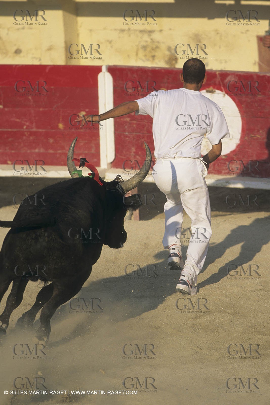 France, Provence, Camargue, course libre, bull games