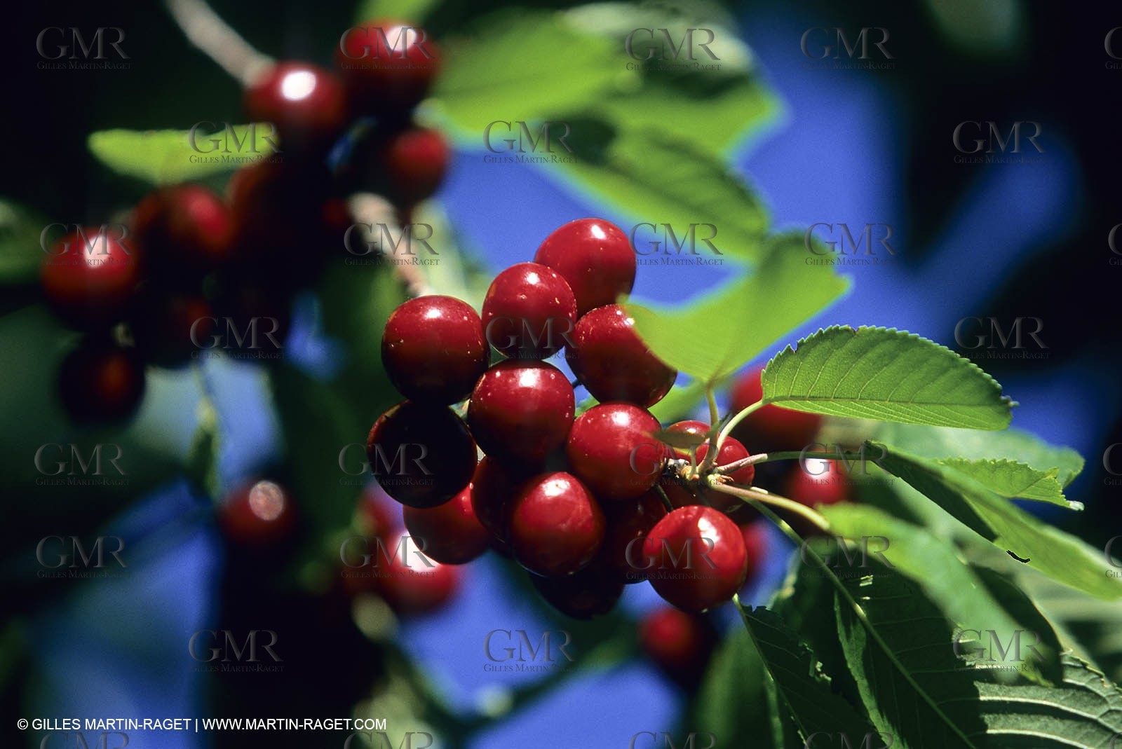 Vaucluse (FRA,84), Les villages du Luberon
