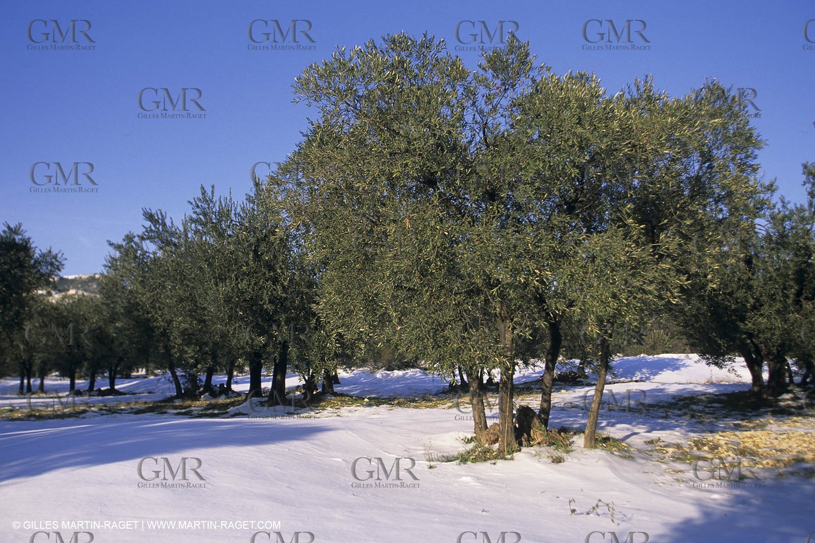 Provence under snow - Baux ed Provence